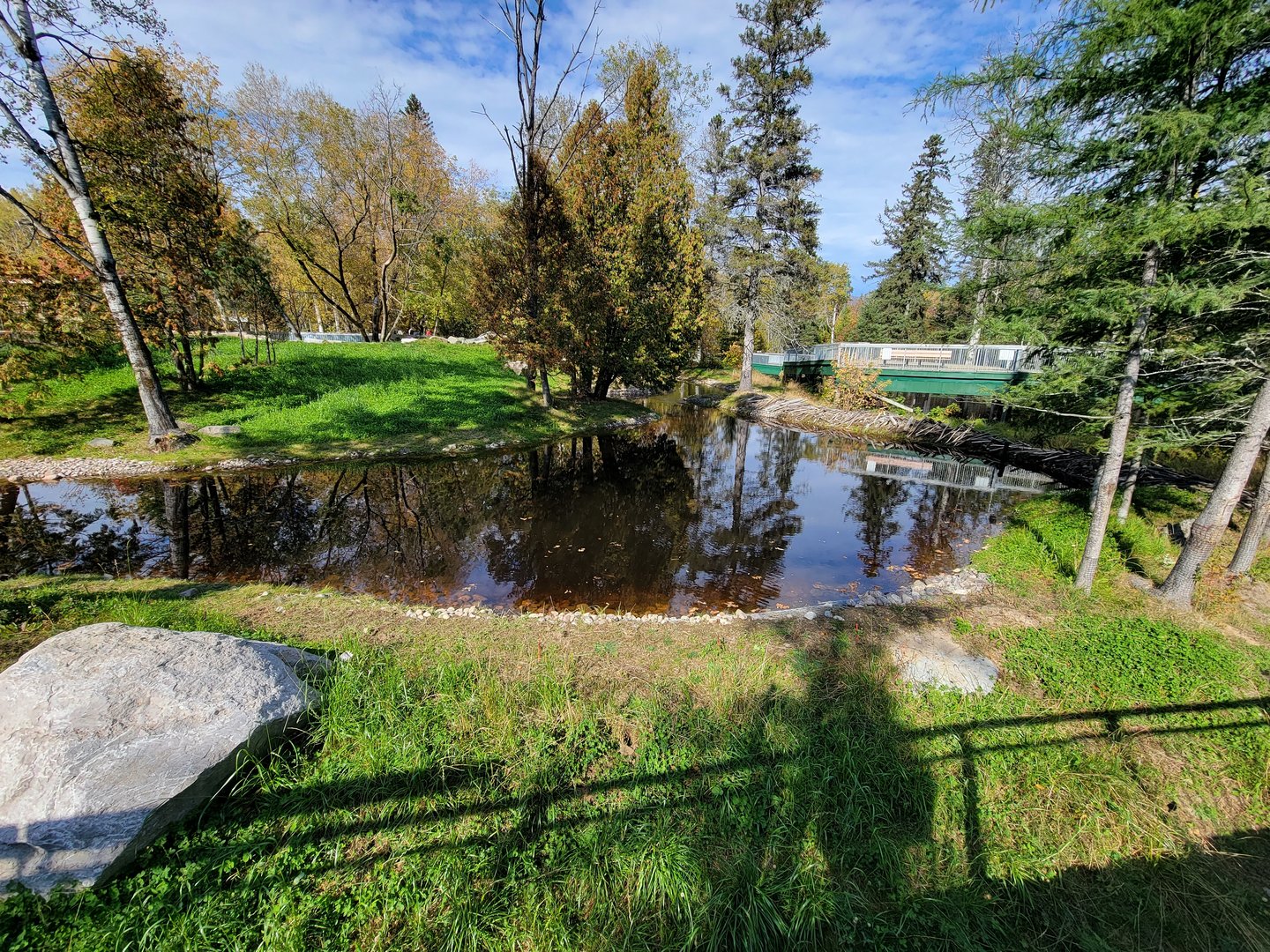 Zoo Sauvage 10/22 -  Laurentian Forest, beaver / striped skunk / snowshoe hare / woodchuck exhibit