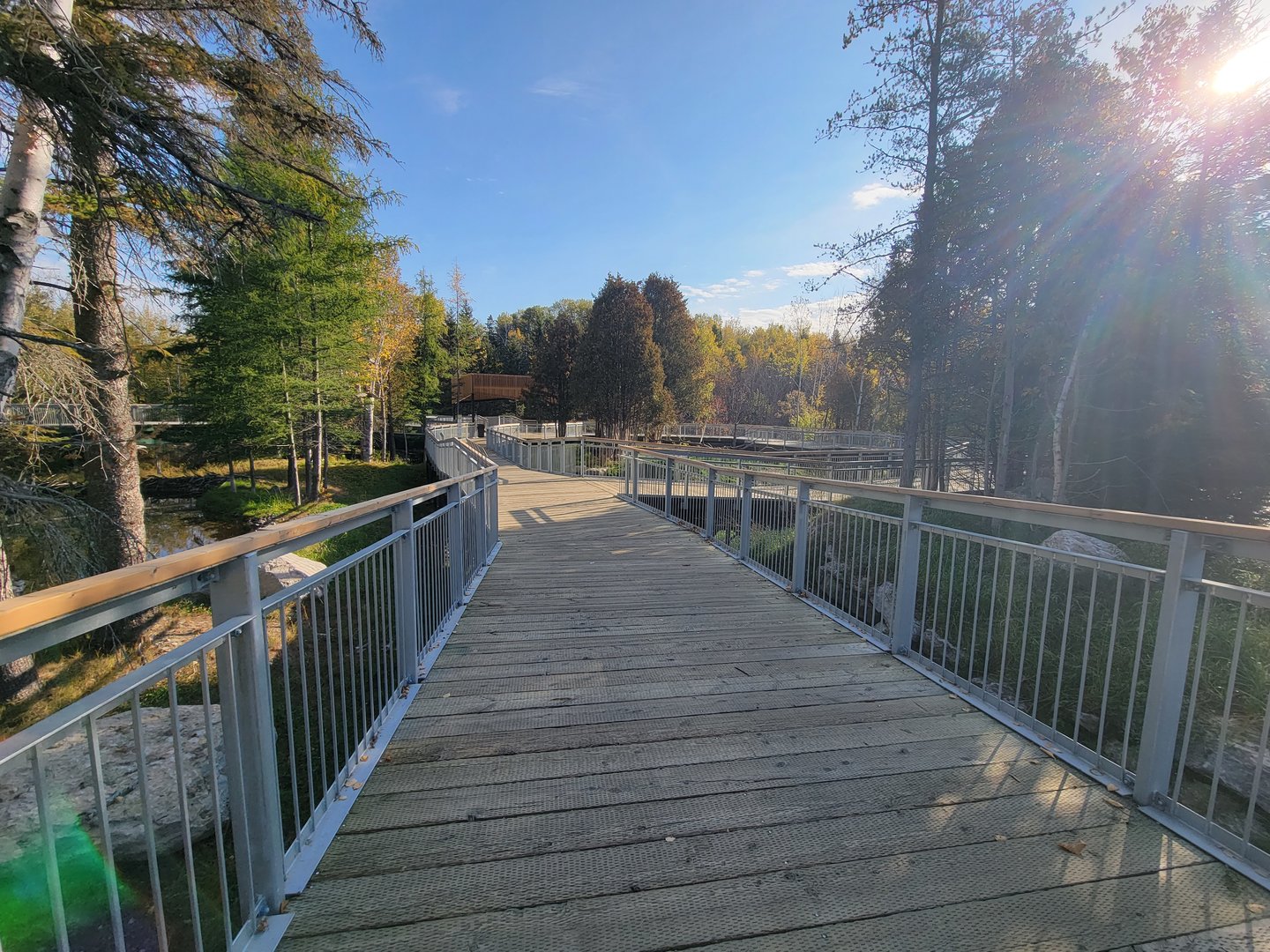 Zoo Sauvage 10/22 -  Laurentian Forest, boardwalk