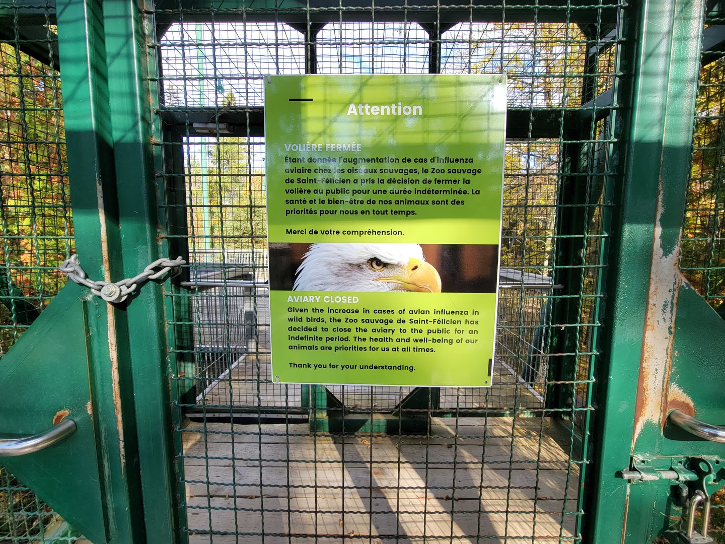 Zoo Sauvage 10/22 -  Laurentian Forest, closed bird of prey aviary