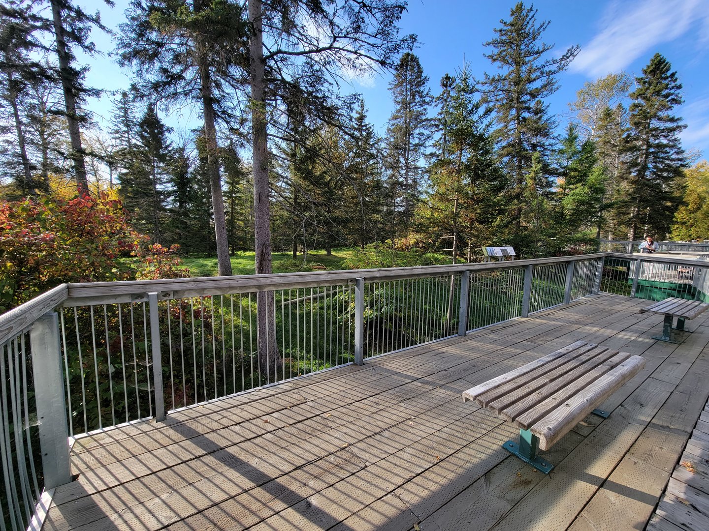 Zoo Sauvage 10/22 -  Laurentian Forest, fisher / NARO / raccoon exhibit, seating area