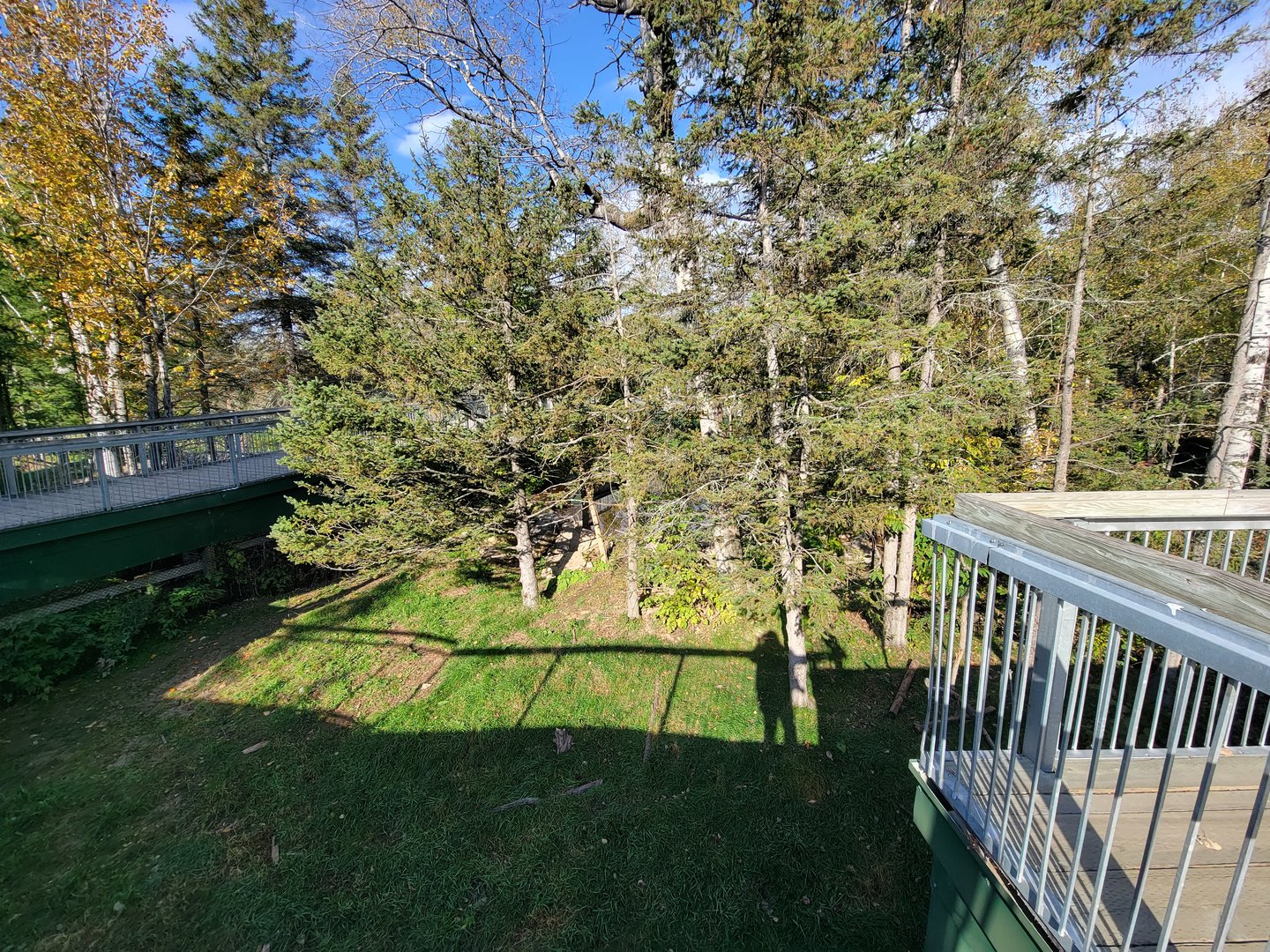 Zoo Sauvage 10/22 -  Laurentian Forest, fisher / NARO / raccoon exhibit