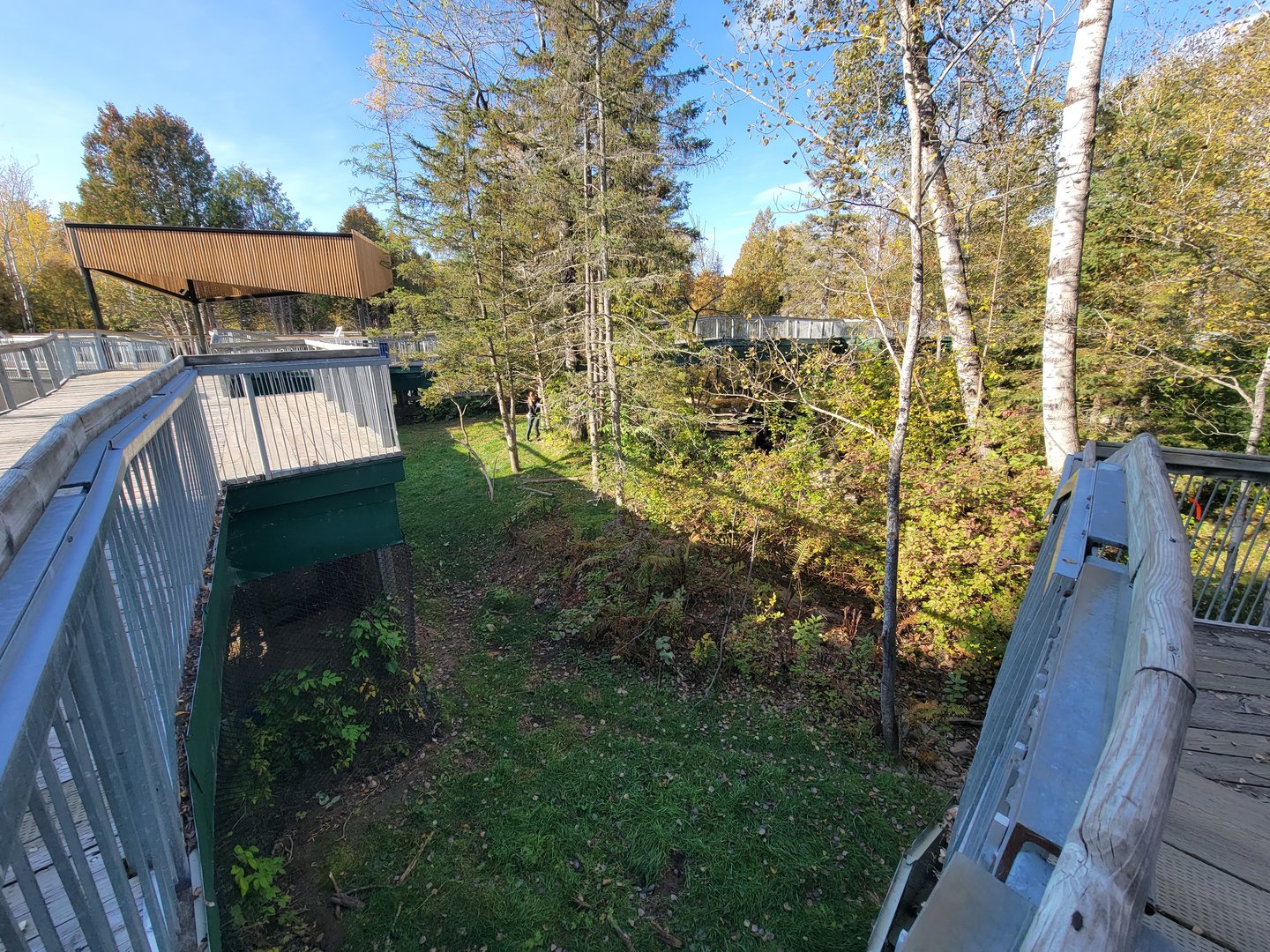 Zoo Sauvage 10/22 -  Laurentian Forest, fisher / NARO / raccoon exhibit