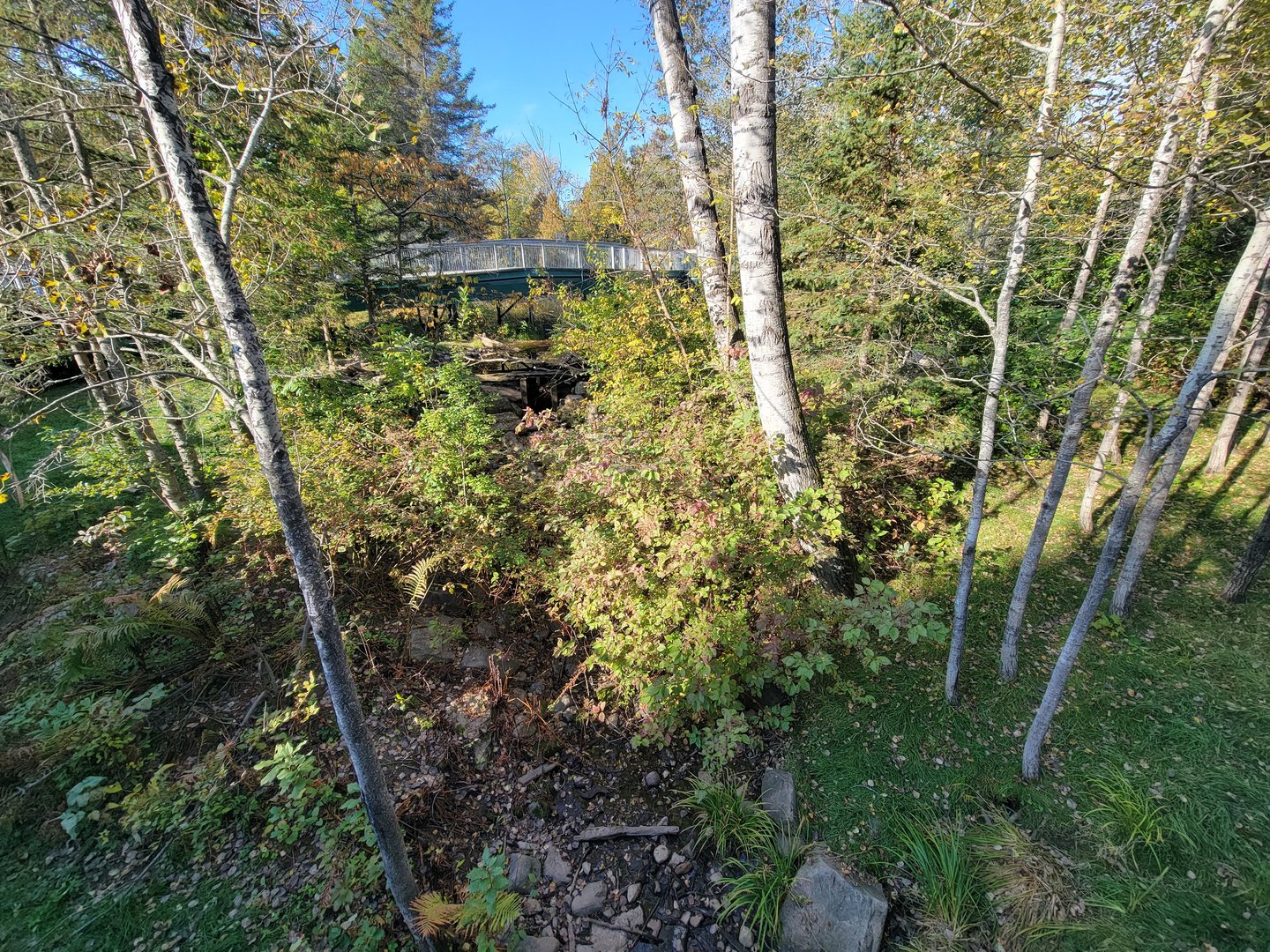 Zoo Sauvage 10/22 -  Laurentian Forest, fisher / NARO / raccoon exhibit