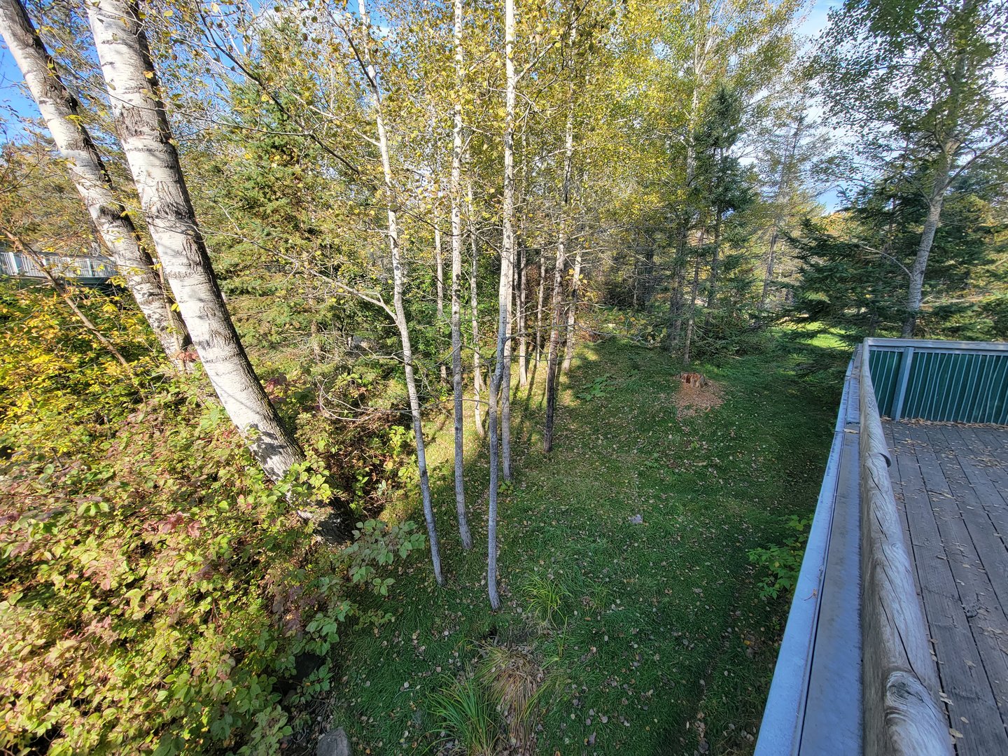 Zoo Sauvage 10/22 -  Laurentian Forest, fisher / NARO / raccoon exhibit