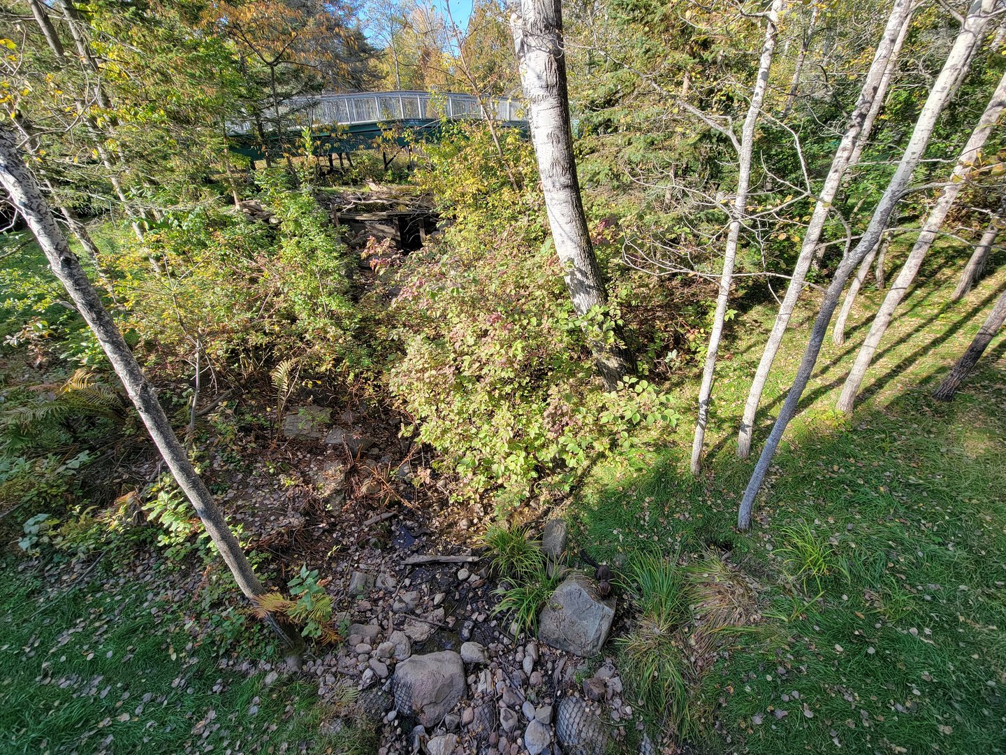 Zoo Sauvage 10/22 -  Laurentian Forest, fisher / NARO / raccoon exhibit