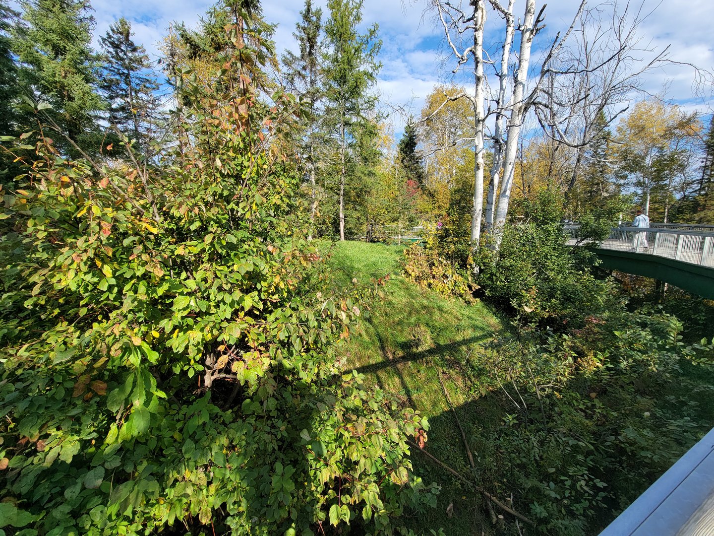 Zoo Sauvage 10/22 -  Laurentian Forest, fisher / NARO / raccoon exhibit