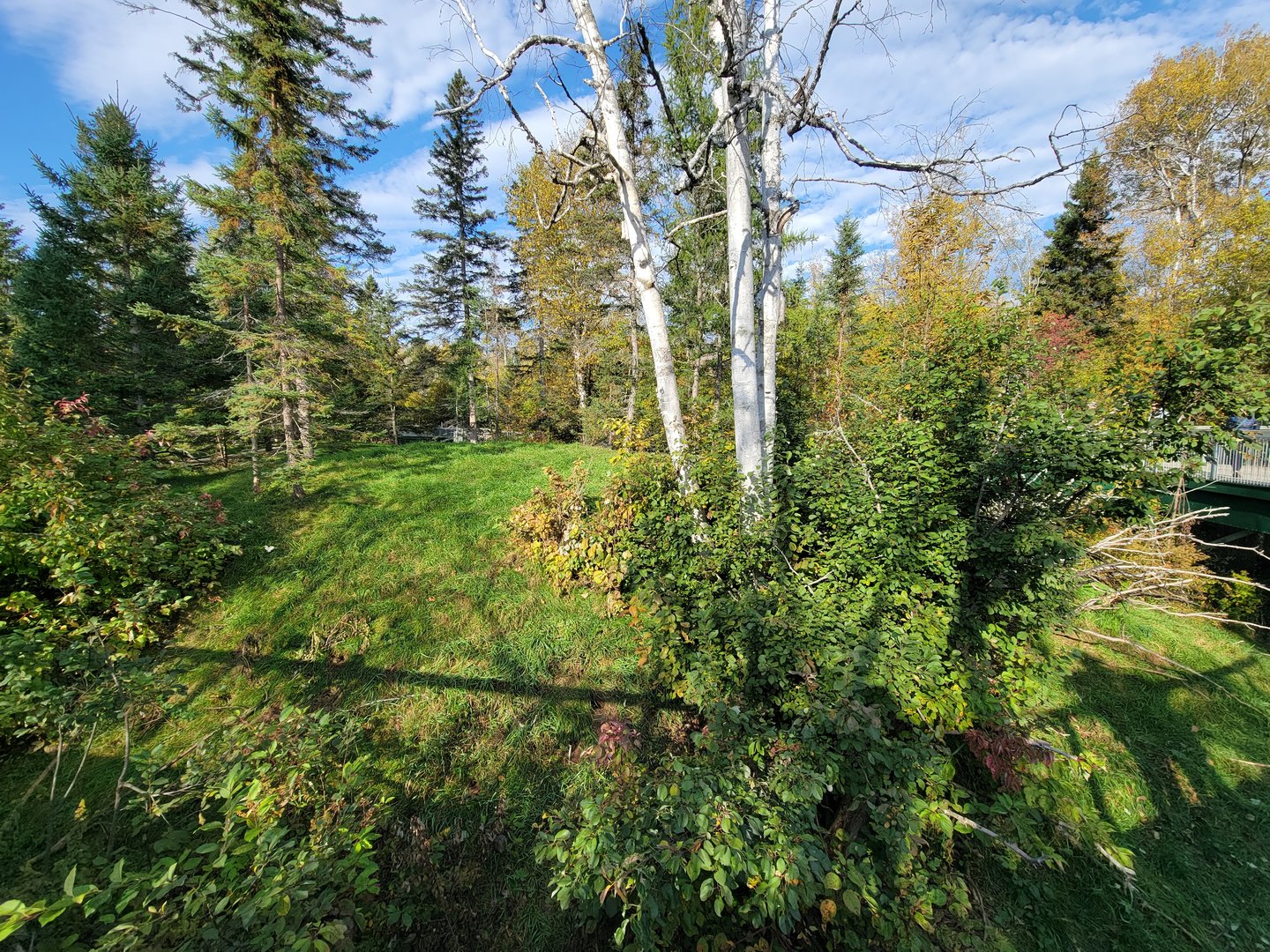 Zoo Sauvage 10/22 -  Laurentian Forest, fisher / NARO / raccoon exhibit