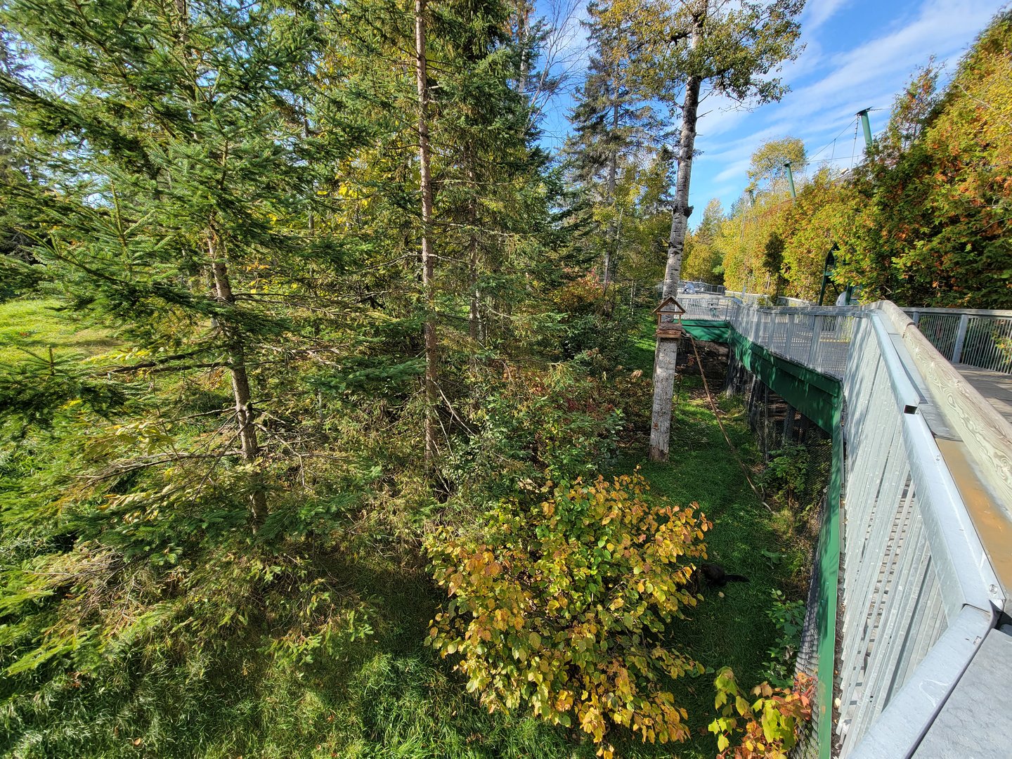 Zoo Sauvage 10/22 -  Laurentian Forest, fisher / NARO / raccoon exhibit