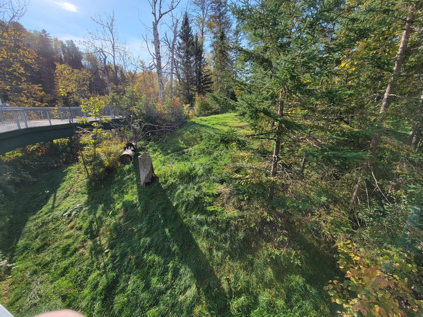 Zoo Sauvage 10/22 -  Laurentian Forest, fisher / NARO / raccoon exhibit