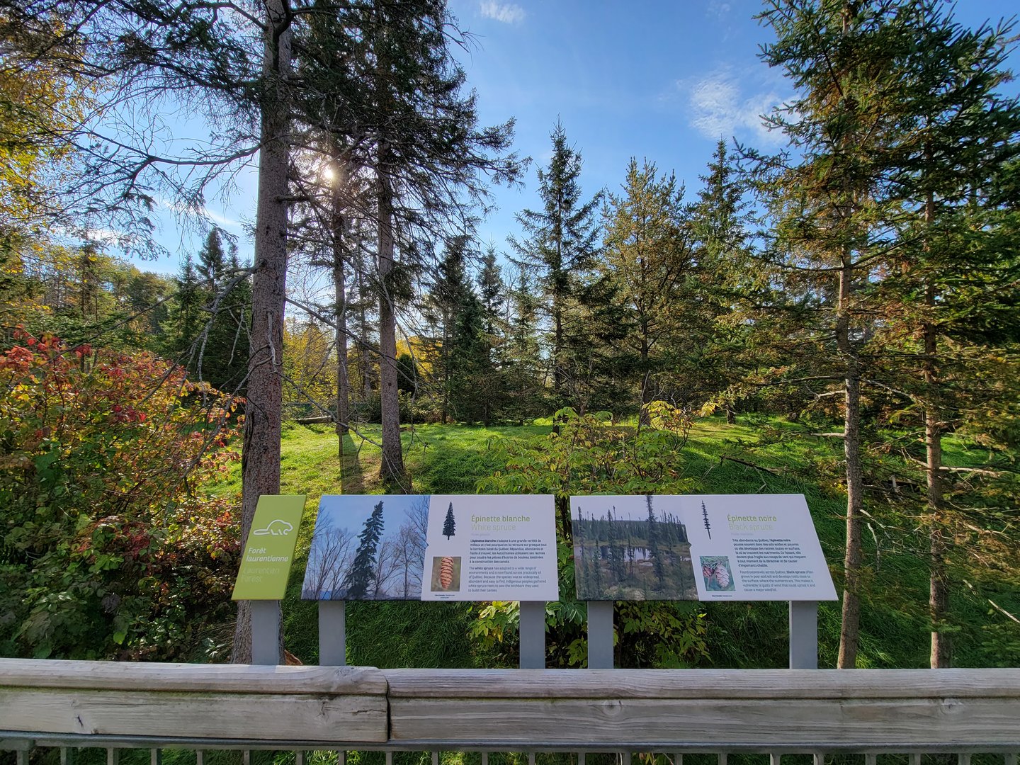 Zoo Sauvage 10/22 -  Laurentian Forest, fisher / NARO / raccoon exhibit