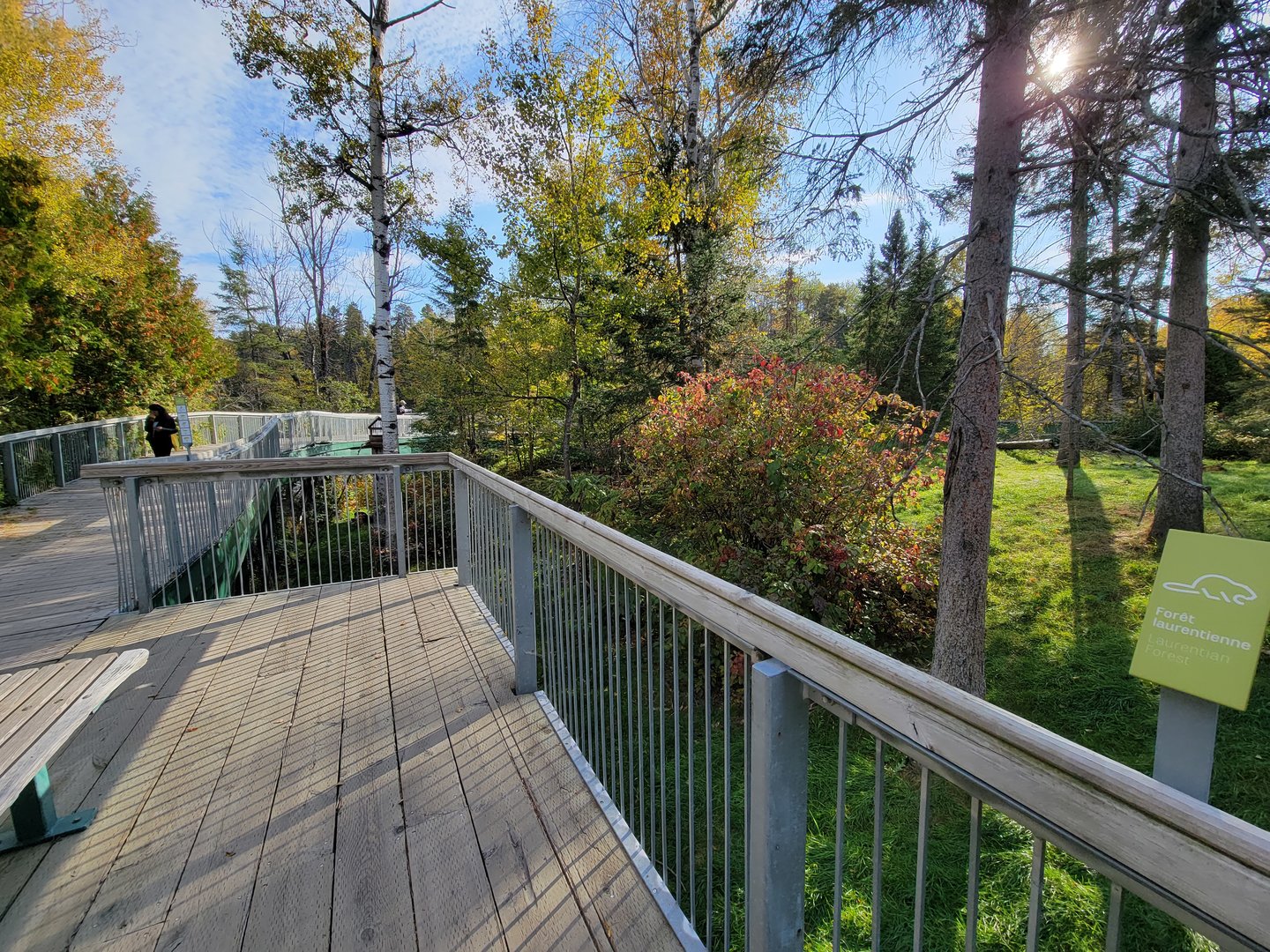 Zoo Sauvage 10/22 -  Laurentian Forest, fisher / NARO / raccoon exhibit