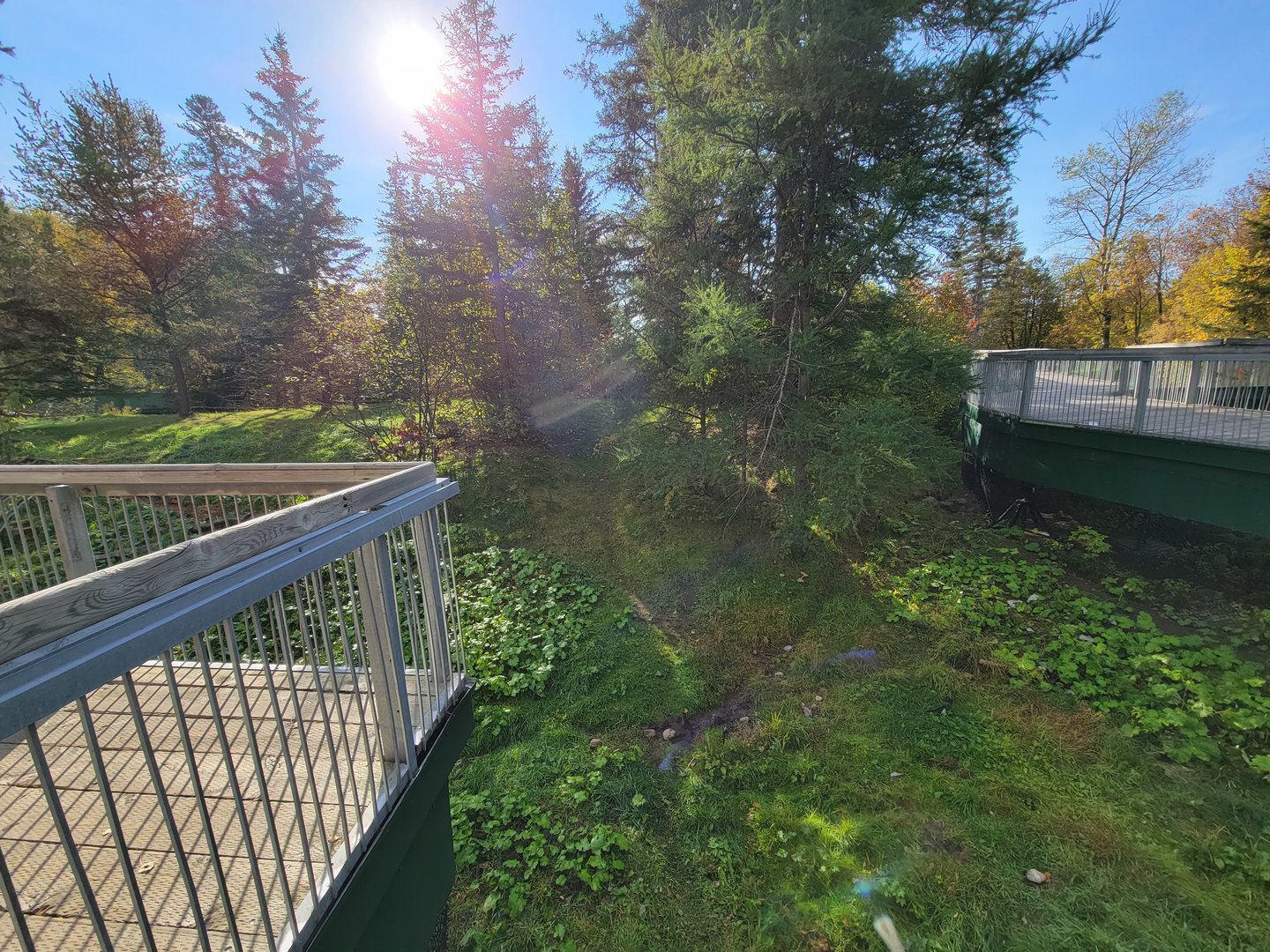 Zoo Sauvage 10/22 -  Laurentian Forest, fisher / NARO / raccoon exhibit