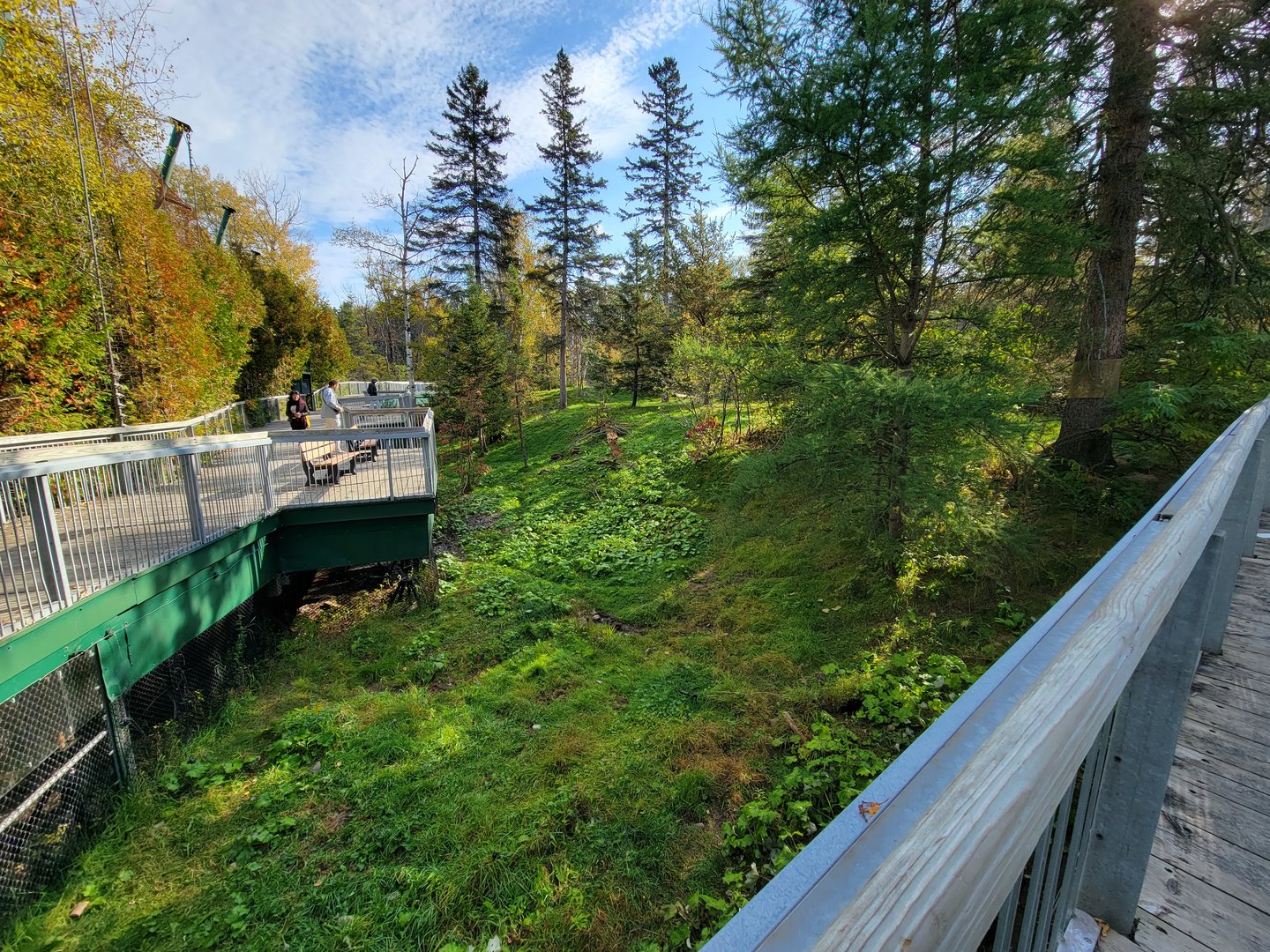 Zoo Sauvage 10/22 -  Laurentian Forest, fisher / NARO / raccoon exhibit
