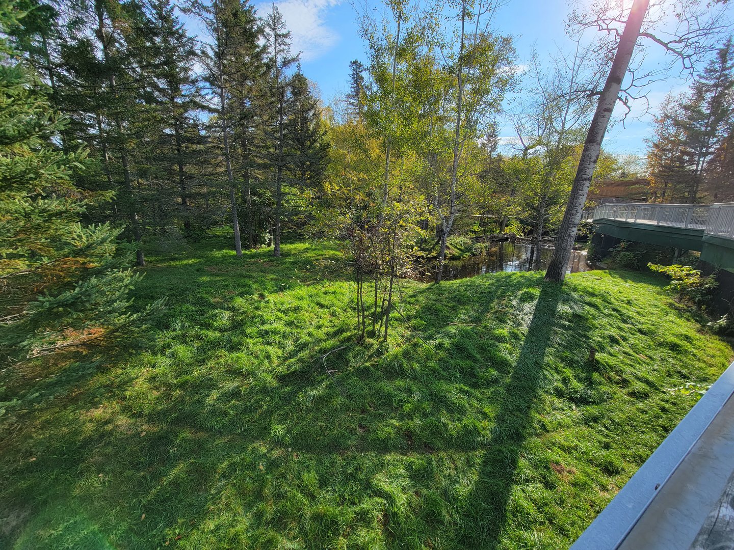 Zoo Sauvage 10/22 -  Laurentian Forest, fisher / NARO / raccoon exhibit