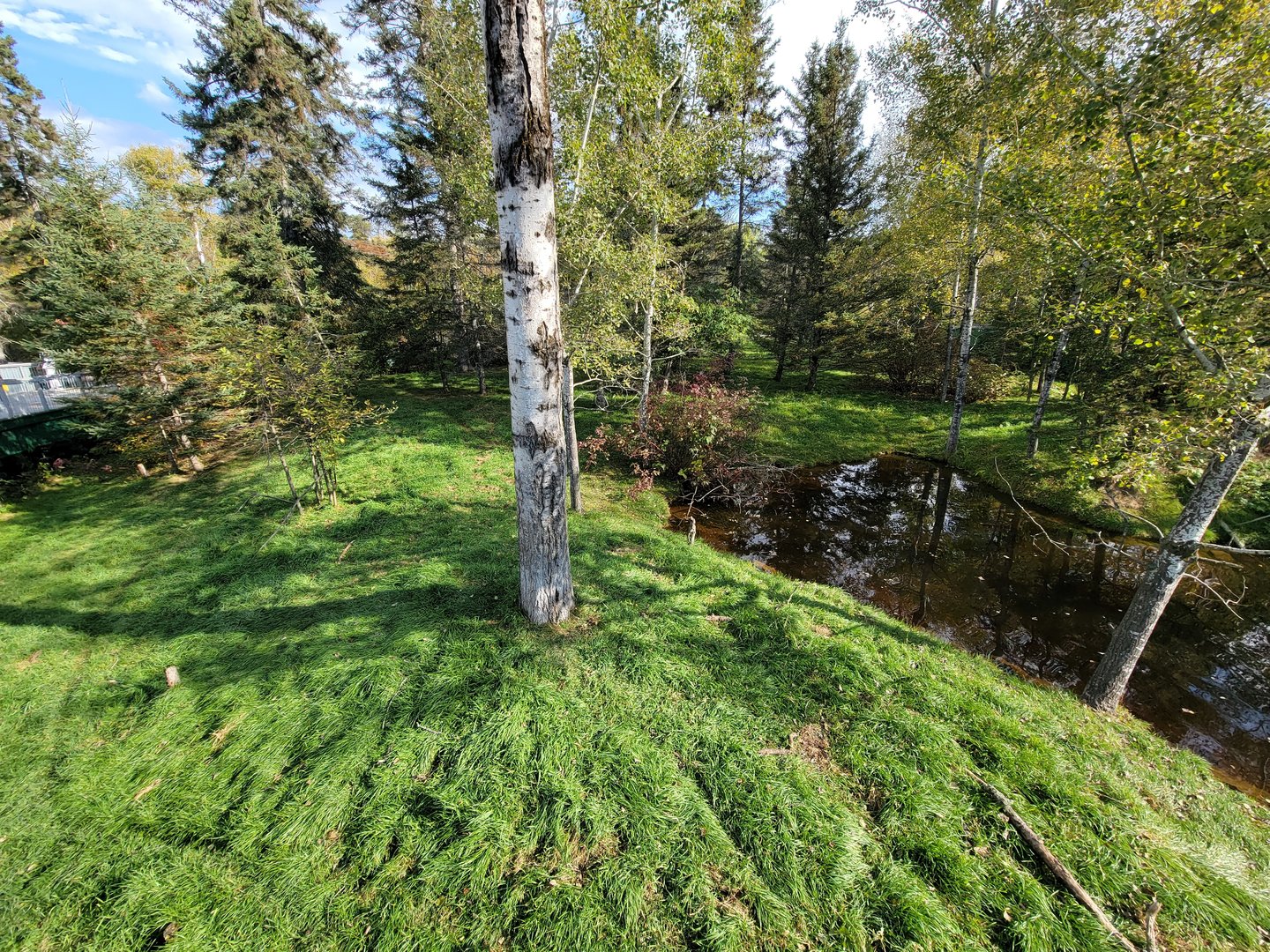 Zoo Sauvage 10/22 -  Laurentian Forest, fisher / NARO / raccoon exhibit