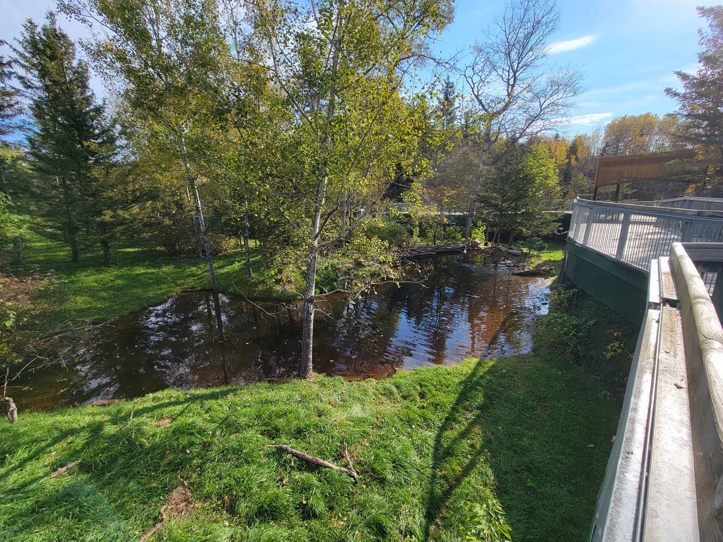 Zoo Sauvage 10/22 -  Laurentian Forest, fisher / NARO / raccoon exhibit