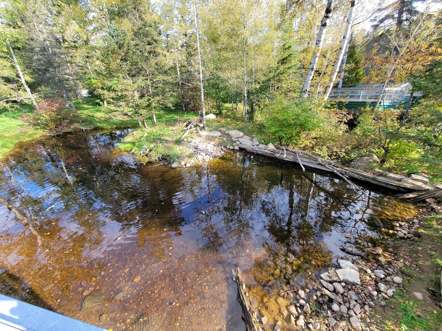 Zoo Sauvage 10/22 -  Laurentian Forest, fisher / NARO / raccoon exhibit