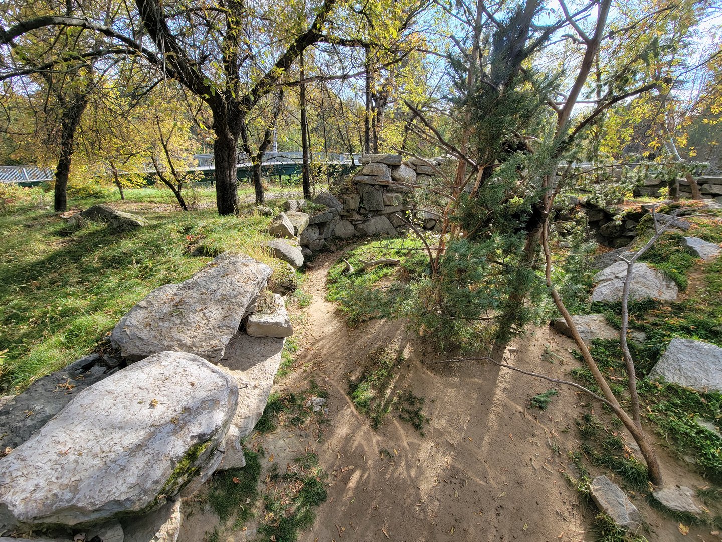 Zoo Sauvage 10/22 -  Laurentian Forest, North American porcupine exhibit