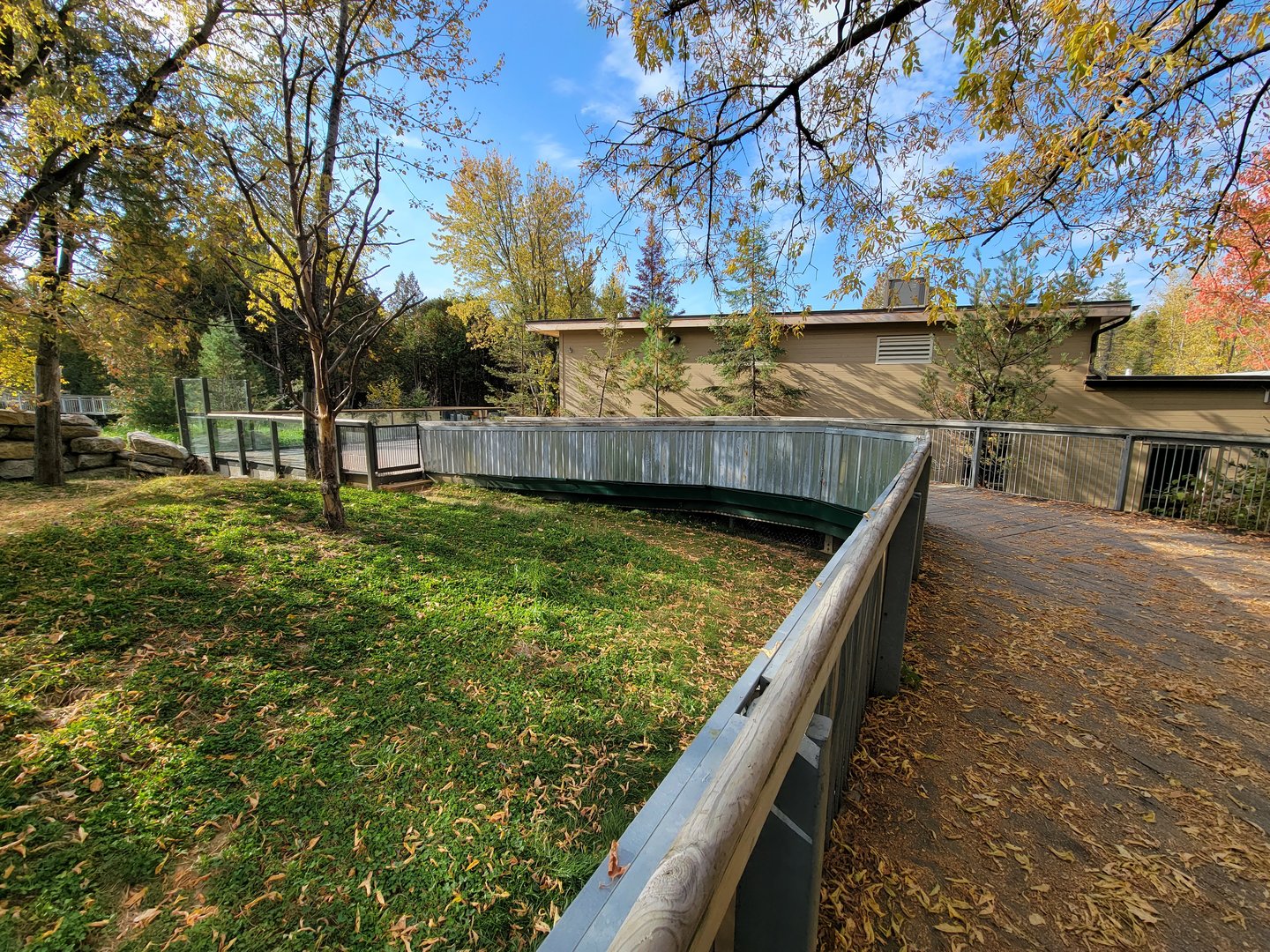 Zoo Sauvage 10/22 -  Laurentian Forest, North American porcupine exhibit