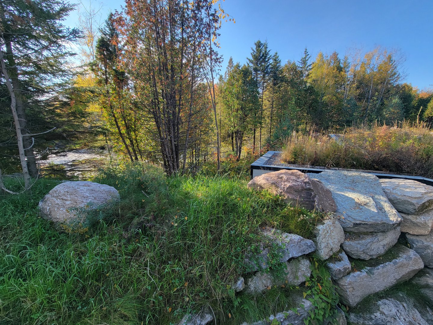 Zoo Sauvage 10/22 -  Laurentian Forest, roof of beaver building