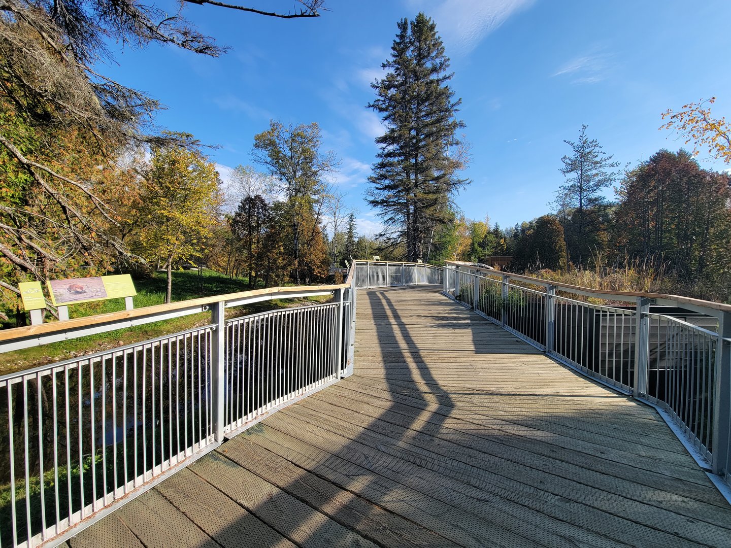 Zoo Sauvage 10/22 -  Laurentian Forest, start of boardwalk