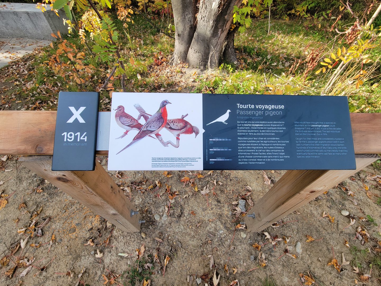 Zoo Sauvage 10/22 -  Passenger Pigeon sign at entrance to Laurentian Forest