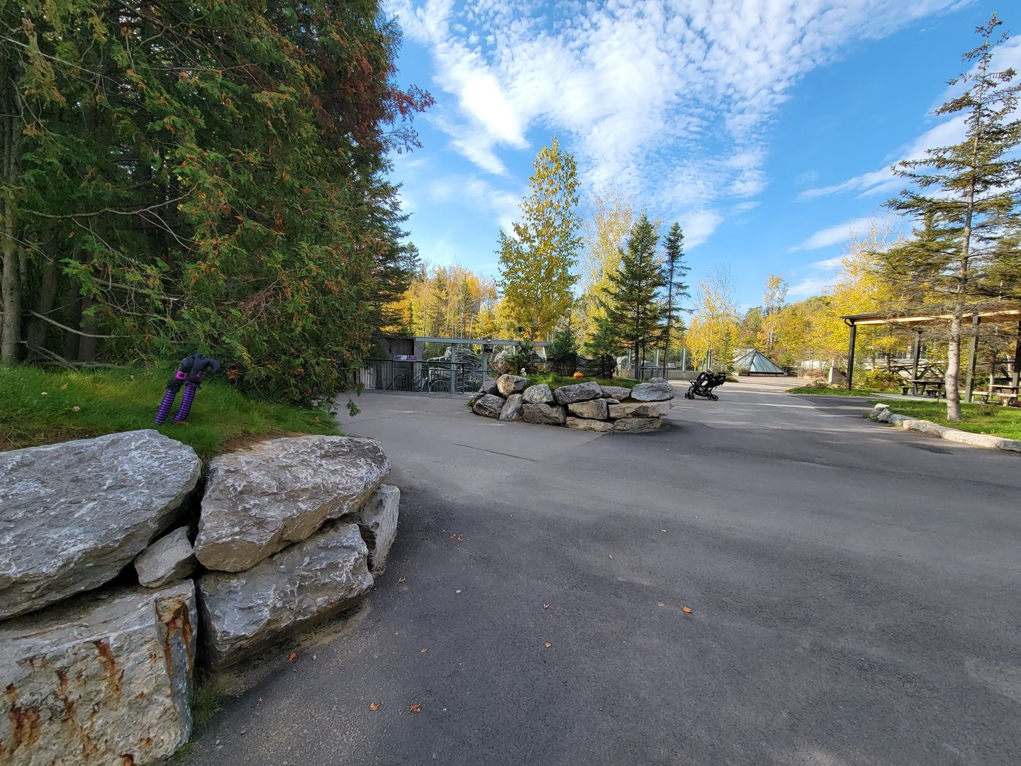 Zoo Sauvage 10/22 -  Path to geladas