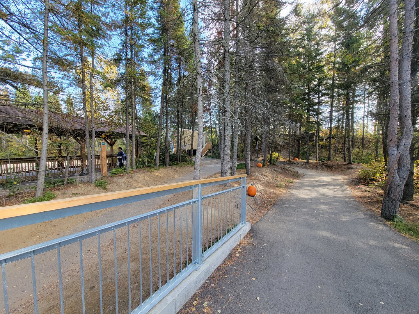 Zoo Sauvage 10/22 - Path to train