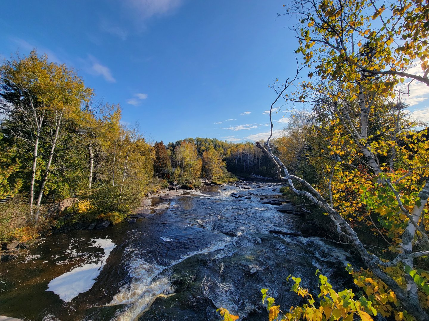 Zoo Sauvage 10/22 - Rivière-aux-saumons from bridge to Laurentian Forest