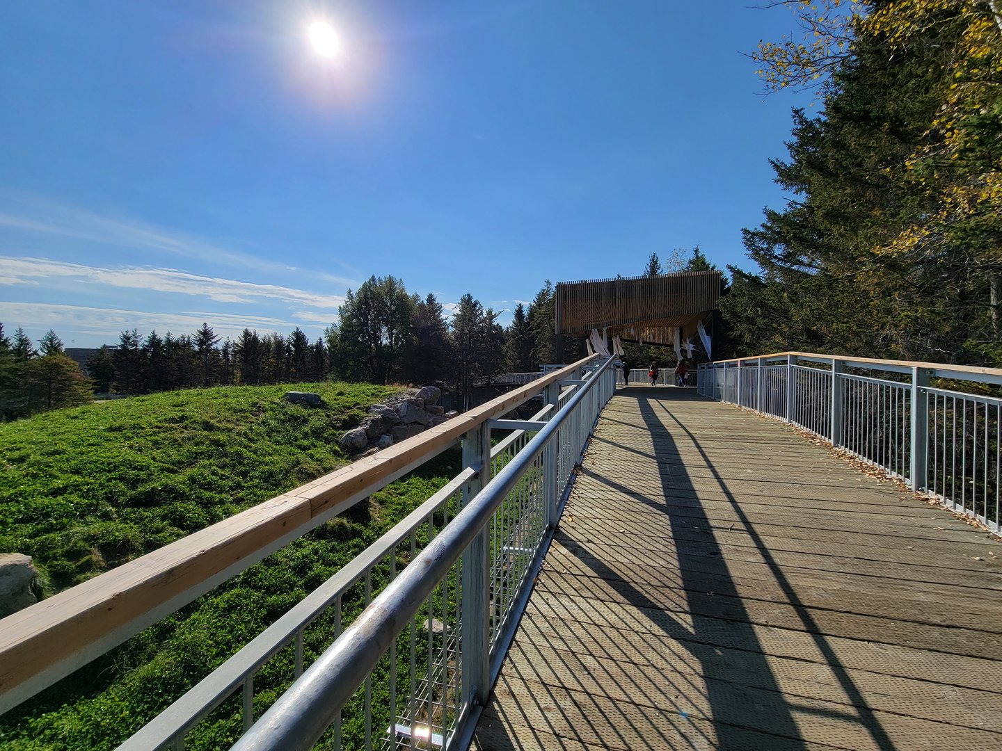 Zoo Sauvage 10/22 - Rocky Mountains, boardwalk around brown bear and bobcat exhibit