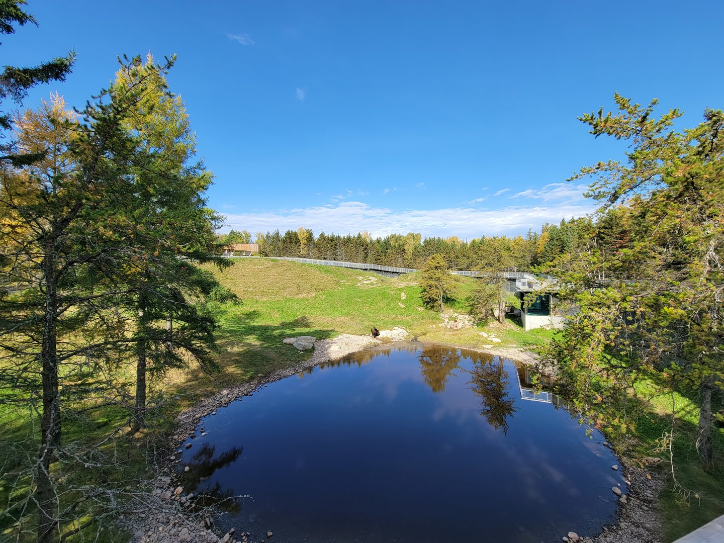 Zoo Sauvage 10/22 - Rocky Mountains, brown bear and bobcat exhibit