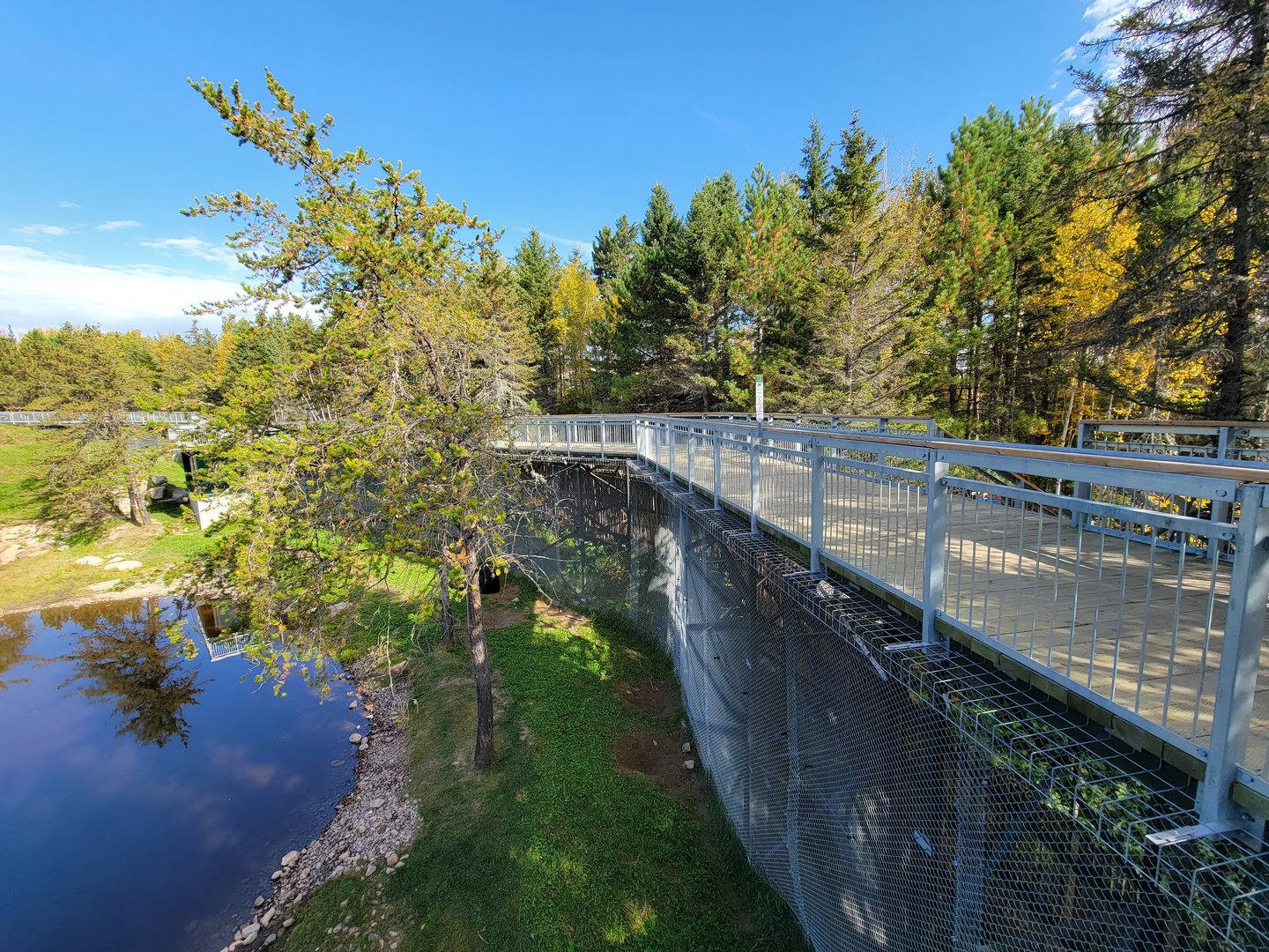 Zoo Sauvage 10/22 - Rocky Mountains, brown bear and bobcat exhibit