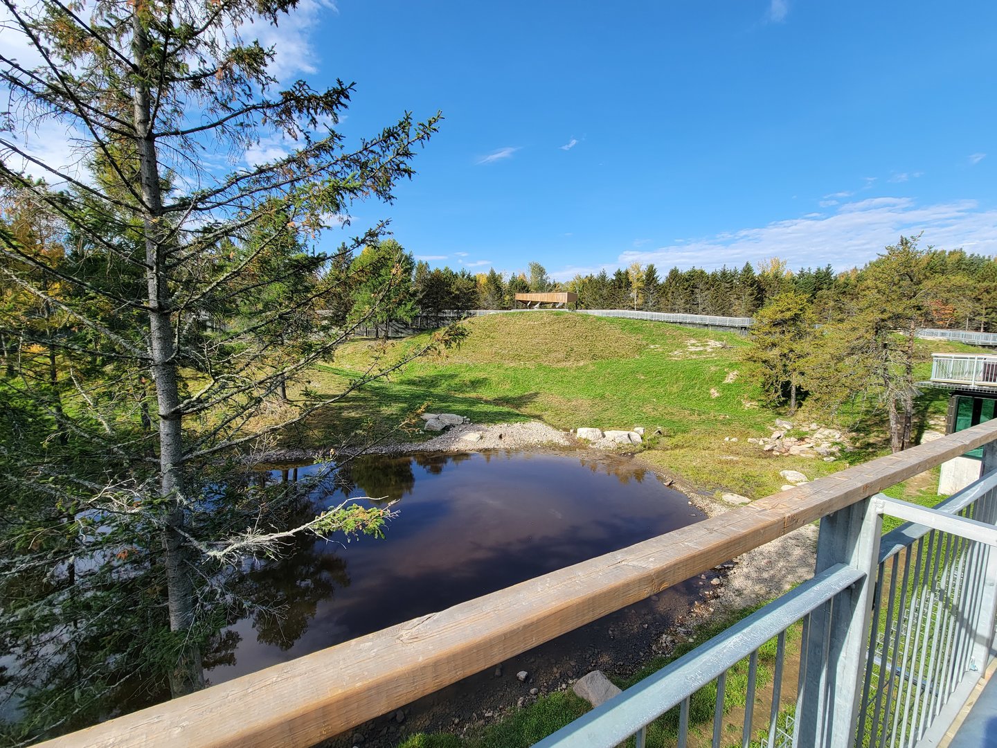 Zoo Sauvage 10/22 - Rocky Mountains, brown bear and bobcat exhibit