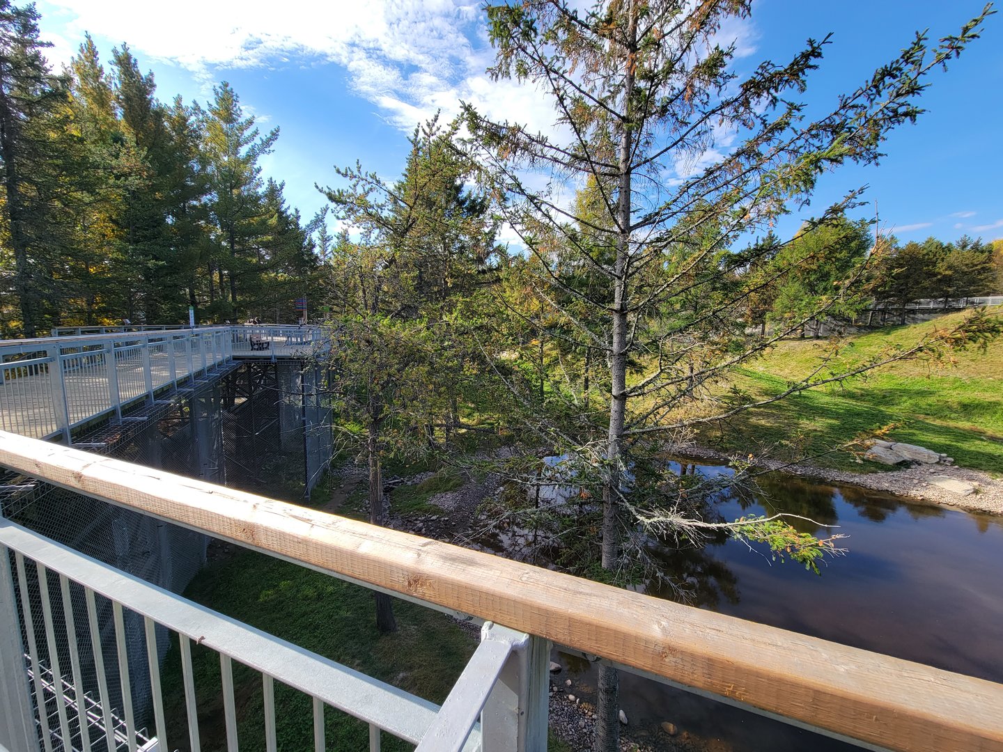 Zoo Sauvage 10/22 - Rocky Mountains, brown bear and bobcat exhibit