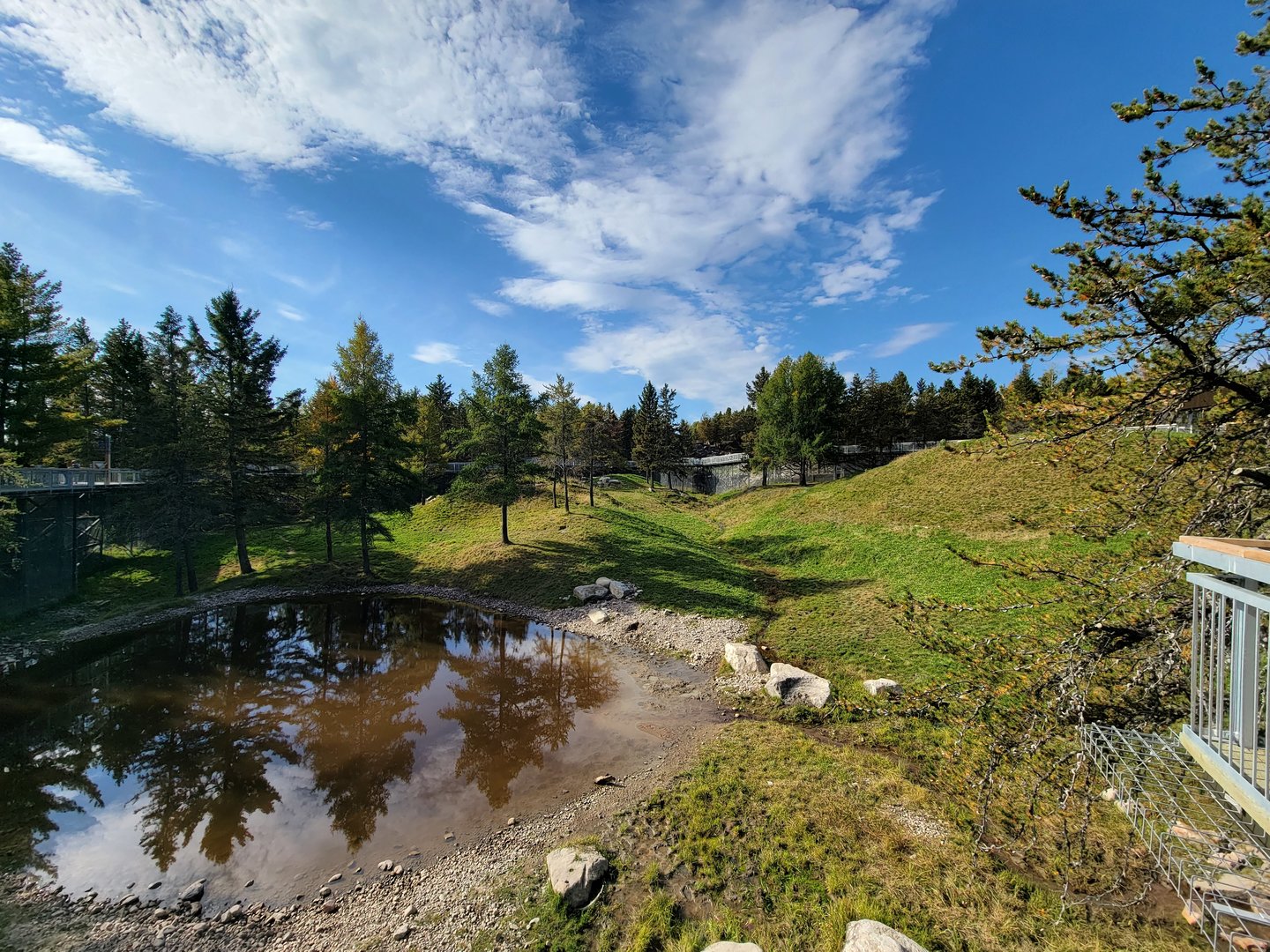 Zoo Sauvage 10/22 - Rocky Mountains, brown bear and bobcat exhibit