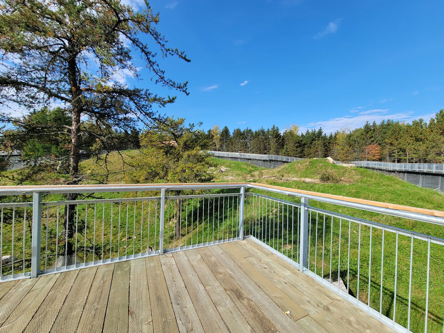 Zoo Sauvage 10/22 - Rocky Mountains, brown bear and bobcat exhibit