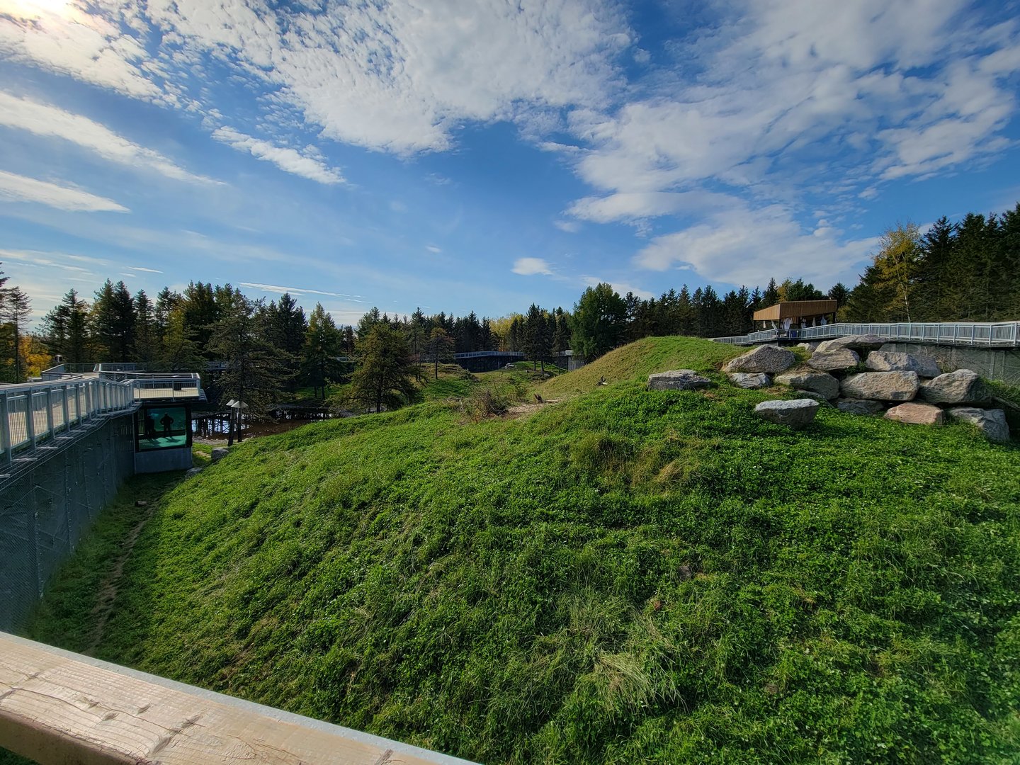 Zoo Sauvage 10/22 - Rocky Mountains, brown bear and bobcat exhibit