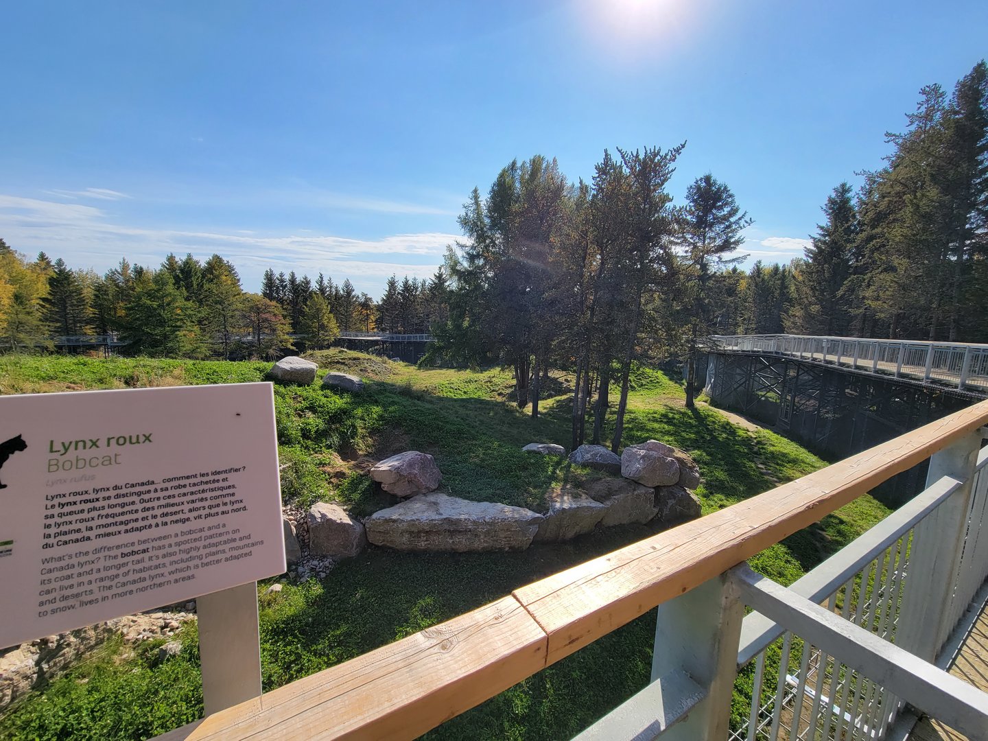 Zoo Sauvage 10/22 - Rocky Mountains, brown bear and bobcat exhibit