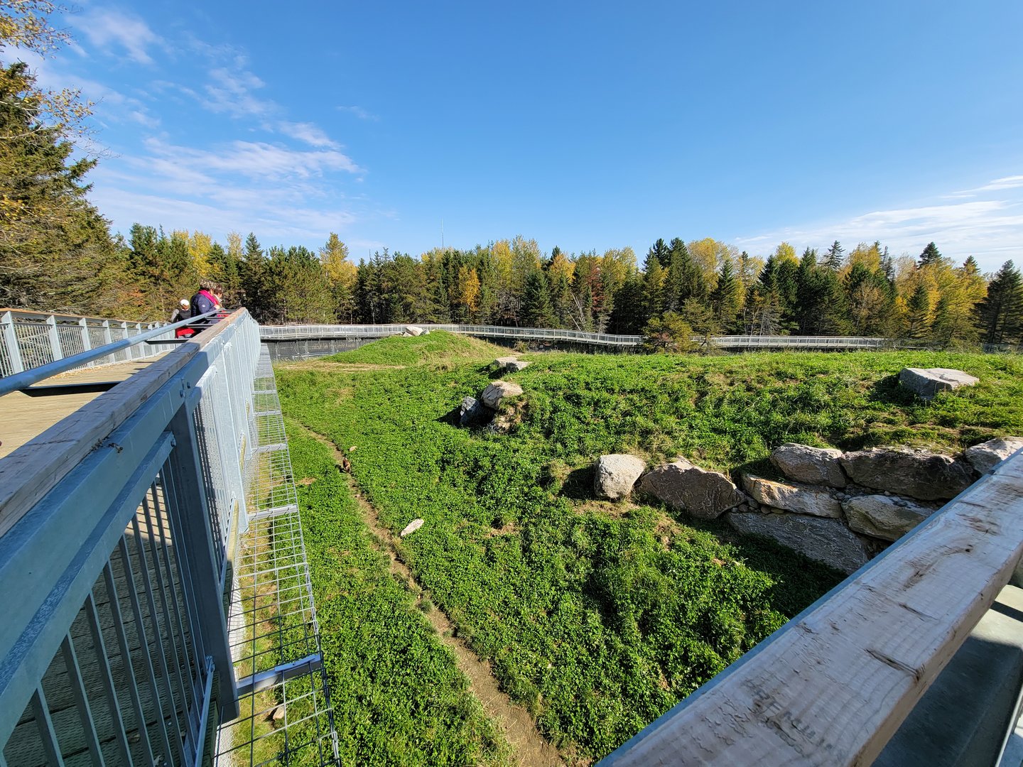 Zoo Sauvage 10/22 - Rocky Mountains, brown bear and bobcat exhibit
