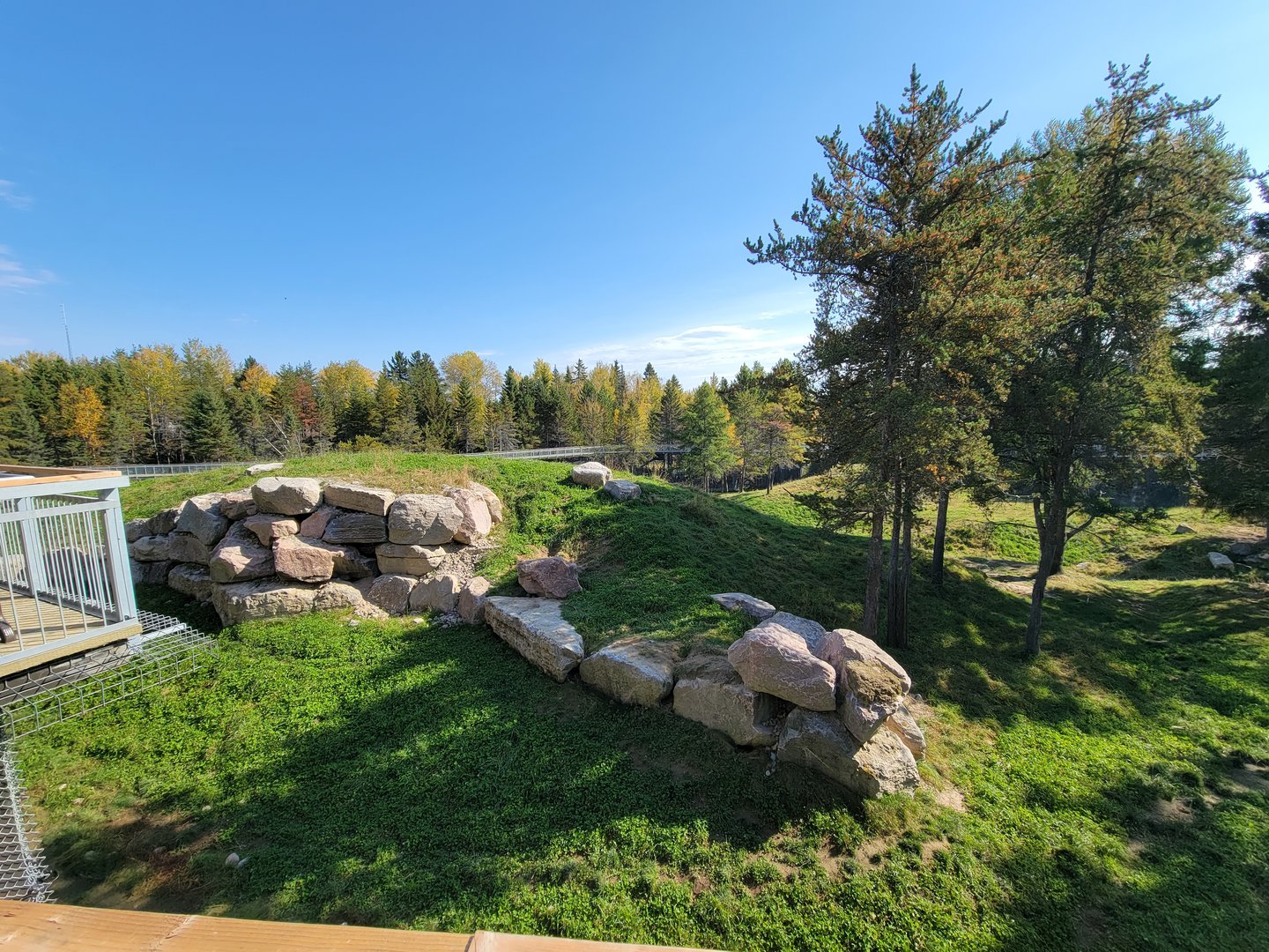 Zoo Sauvage 10/22 - Rocky Mountains, brown bear and bobcat exhibit