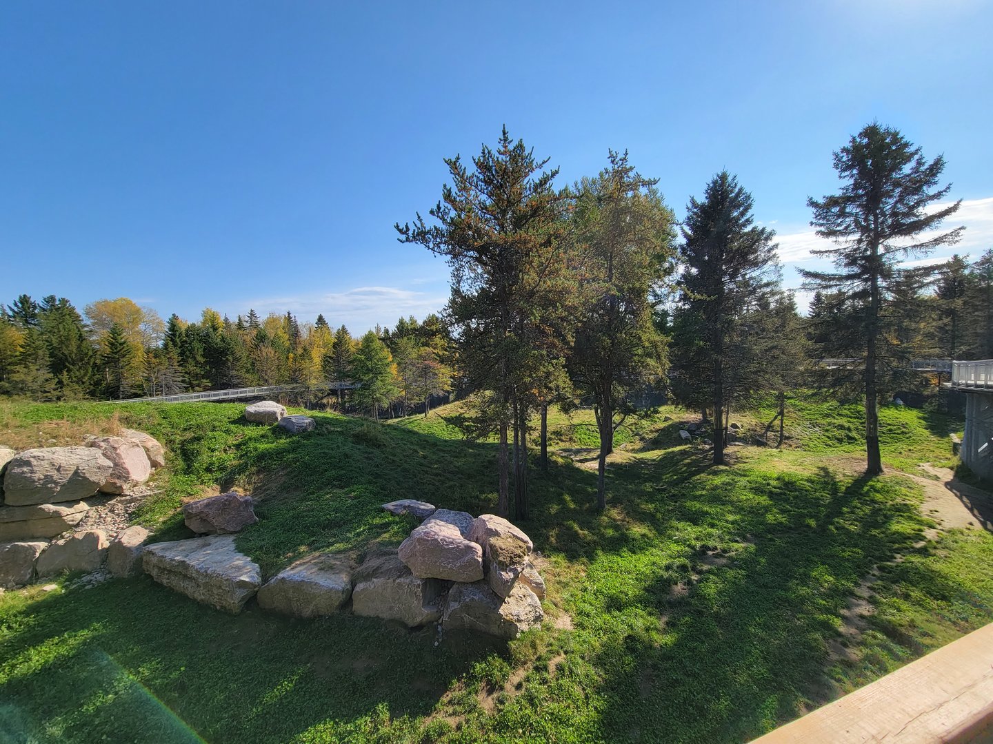 Zoo Sauvage 10/22 - Rocky Mountains, brown bear and bobcat exhibit