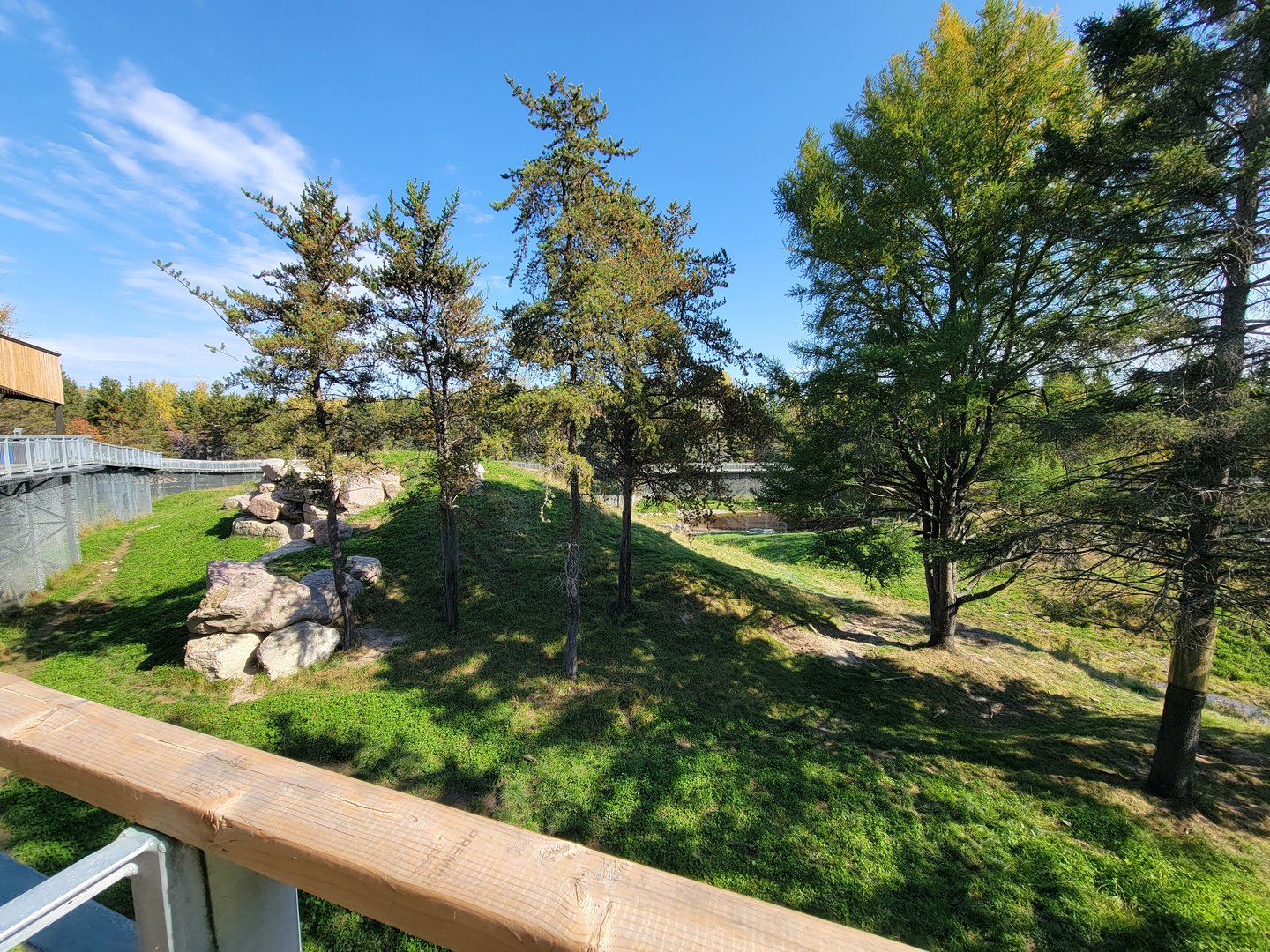 Zoo Sauvage 10/22 - Rocky Mountains, brown bear and bobcat exhibit