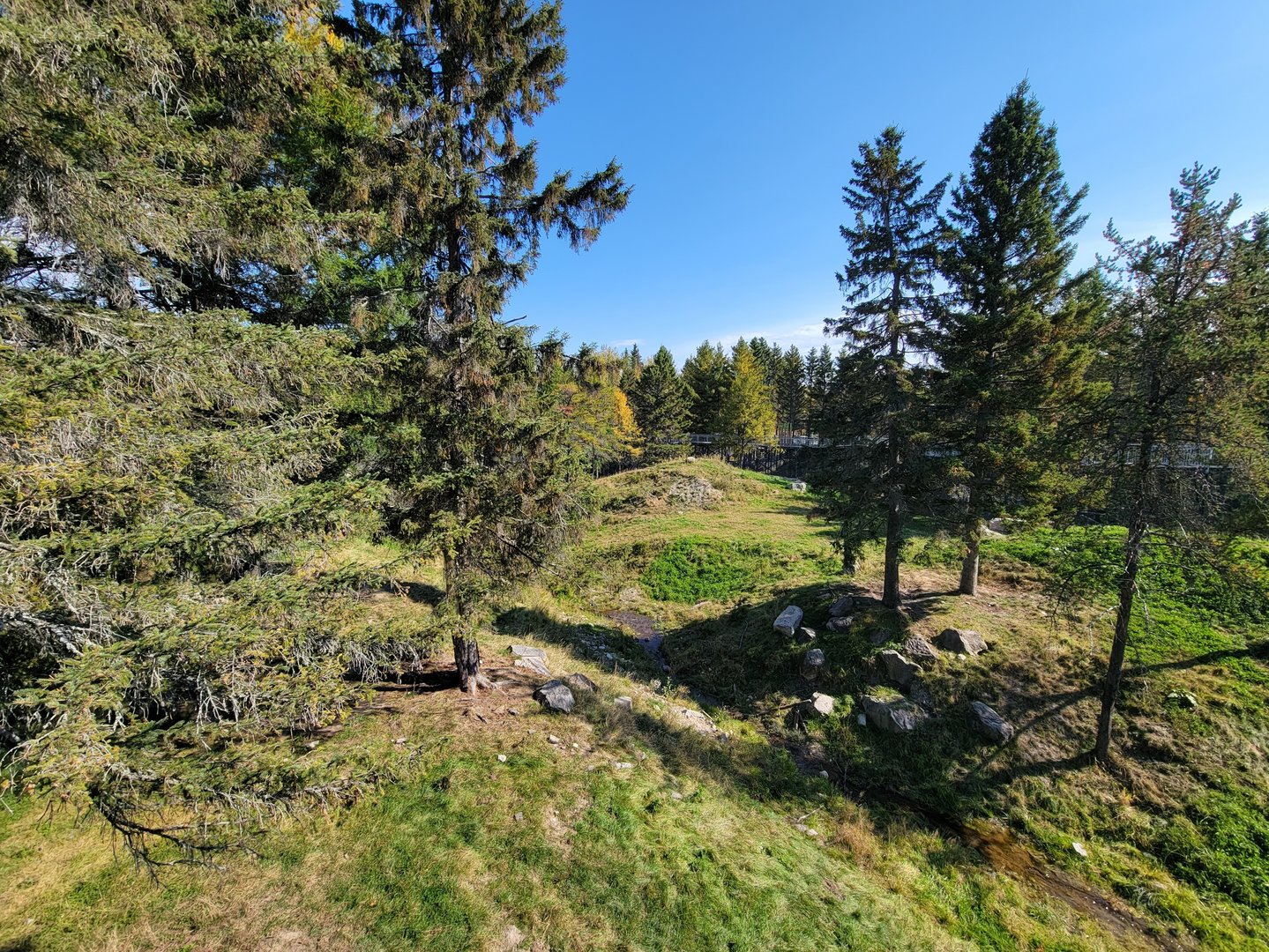 Zoo Sauvage 10/22 - Rocky Mountains, brown bear and bobcat exhibit