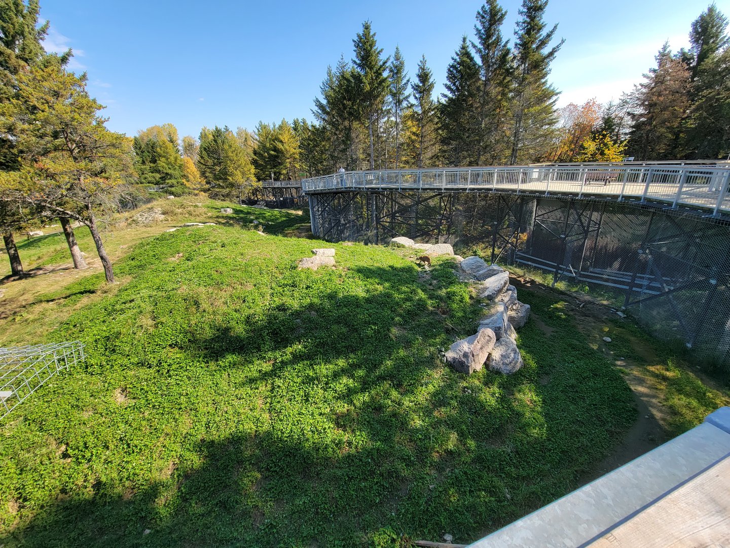 Zoo Sauvage 10/22 - Rocky Mountains, brown bear and bobcat exhibit