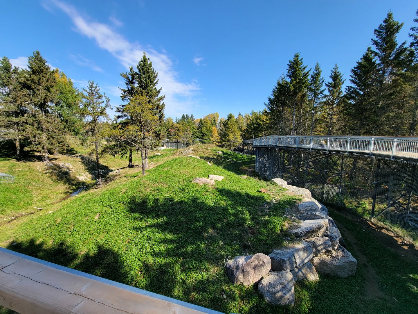 Zoo Sauvage 10/22 - Rocky Mountains, brown bear and bobcat exhibit