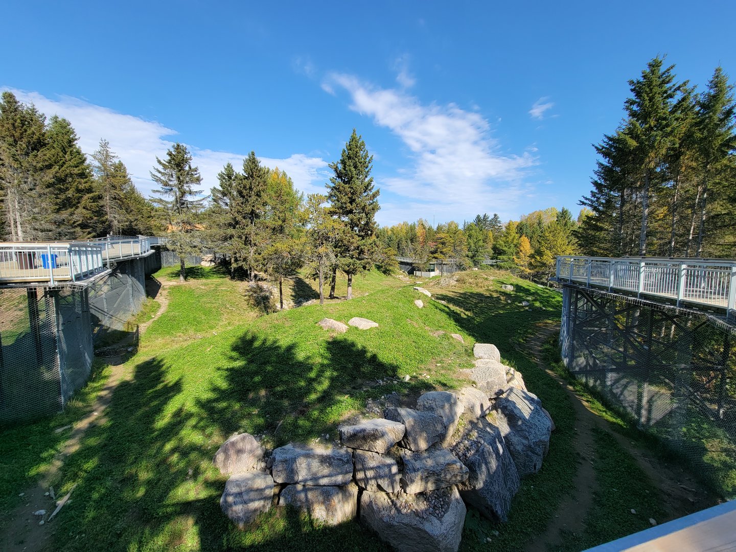 Zoo Sauvage 10/22 - Rocky Mountains, brown bear and bobcat exhibit