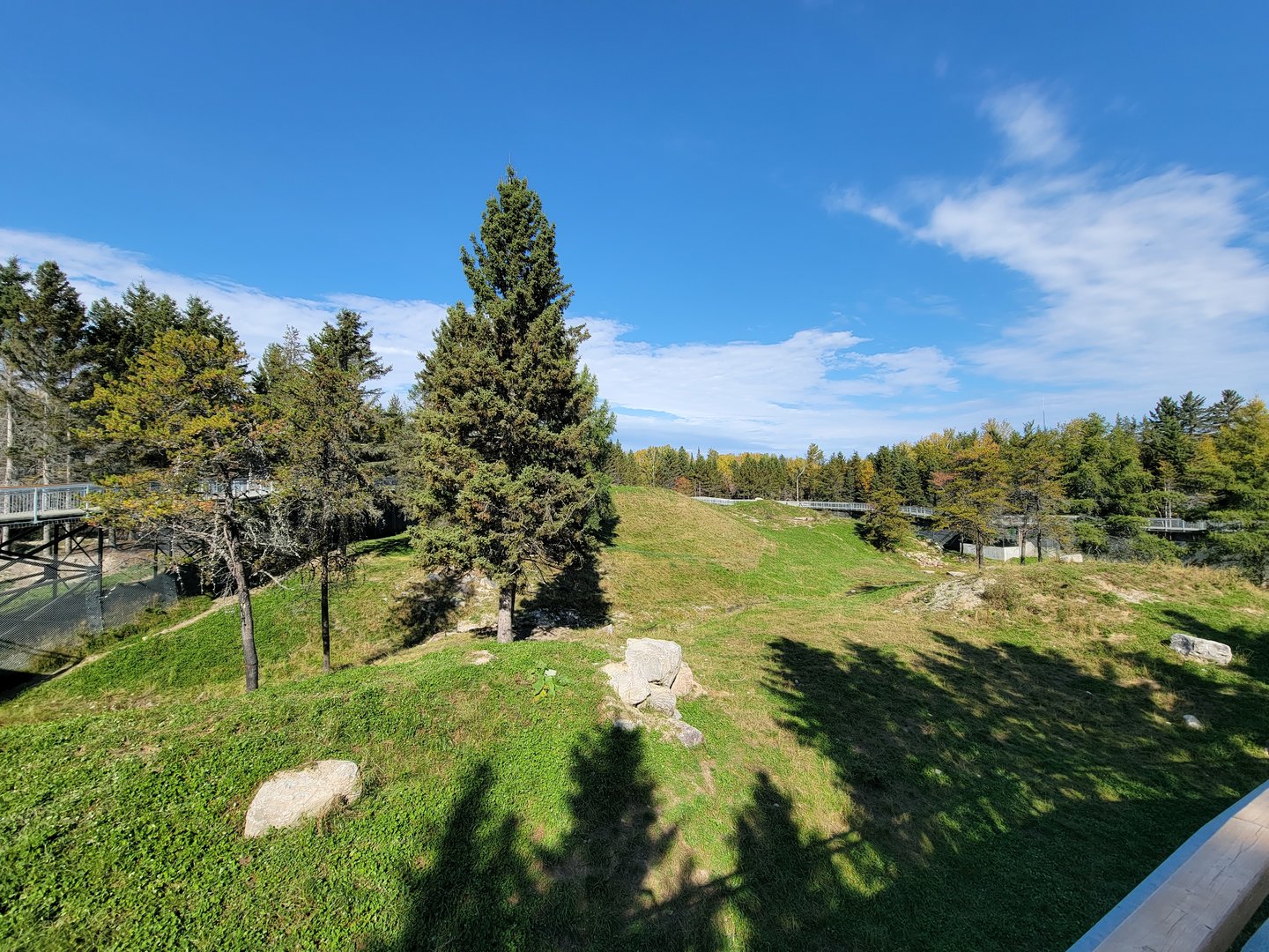 Zoo Sauvage 10/22 - Rocky Mountains, brown bear and bobcat exhibit