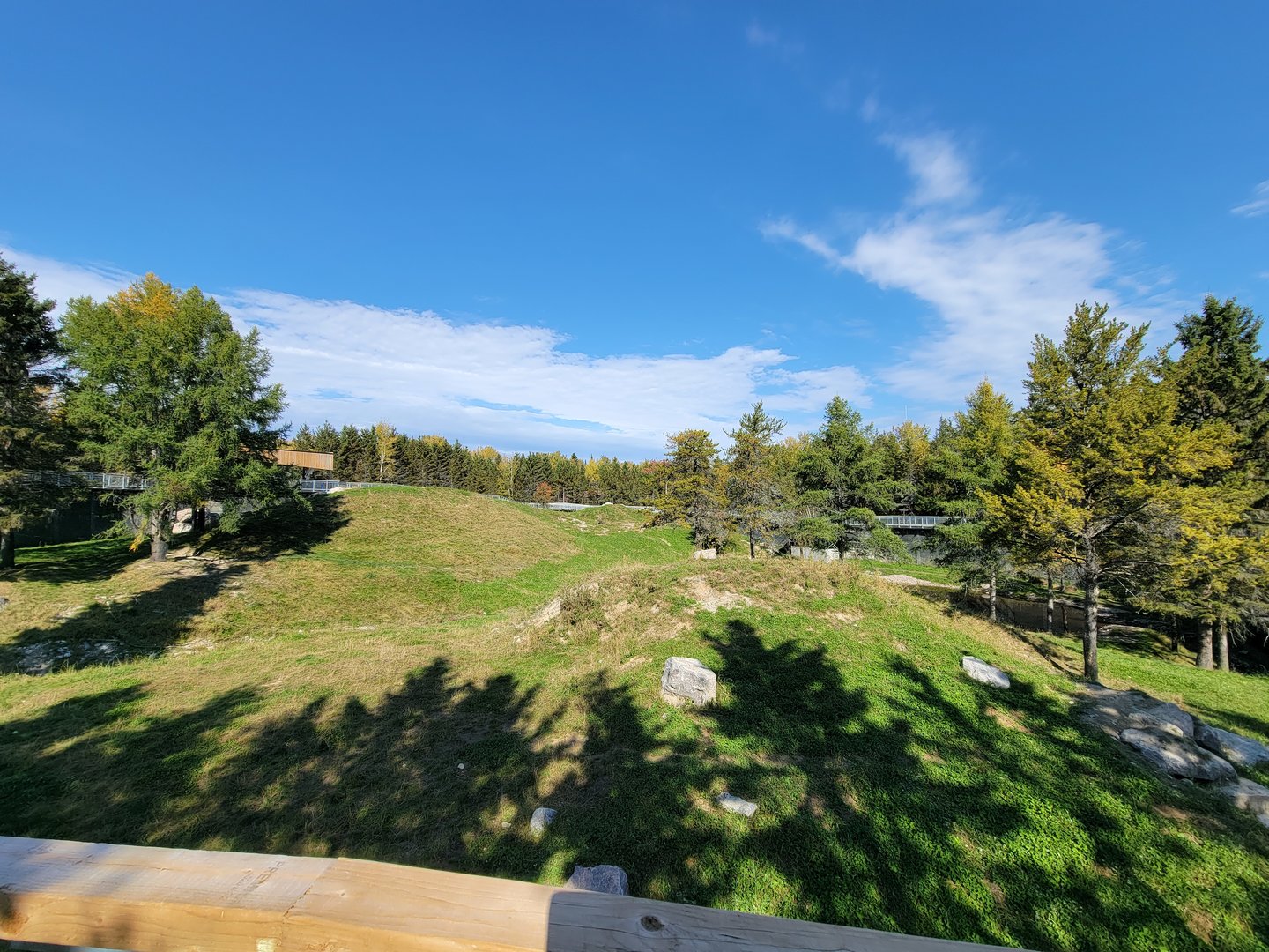 Zoo Sauvage 10/22 - Rocky Mountains, brown bear and bobcat exhibit