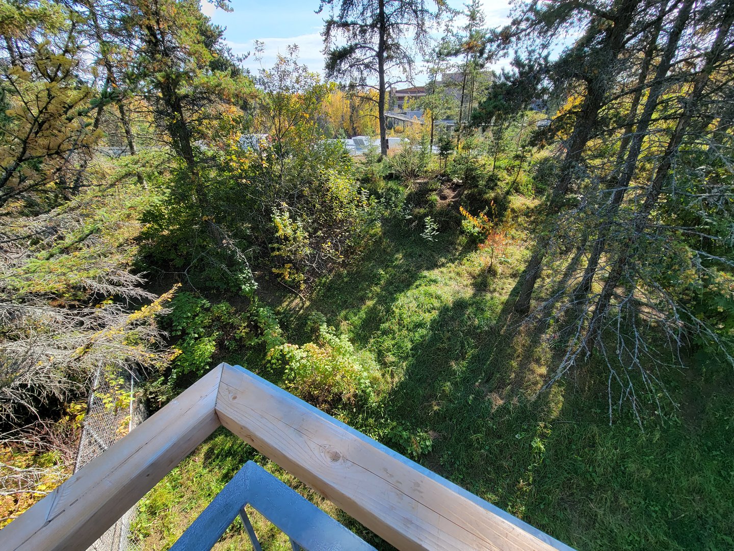 Zoo Sauvage 10/22 - Rocky Mountains, coyote exhibit