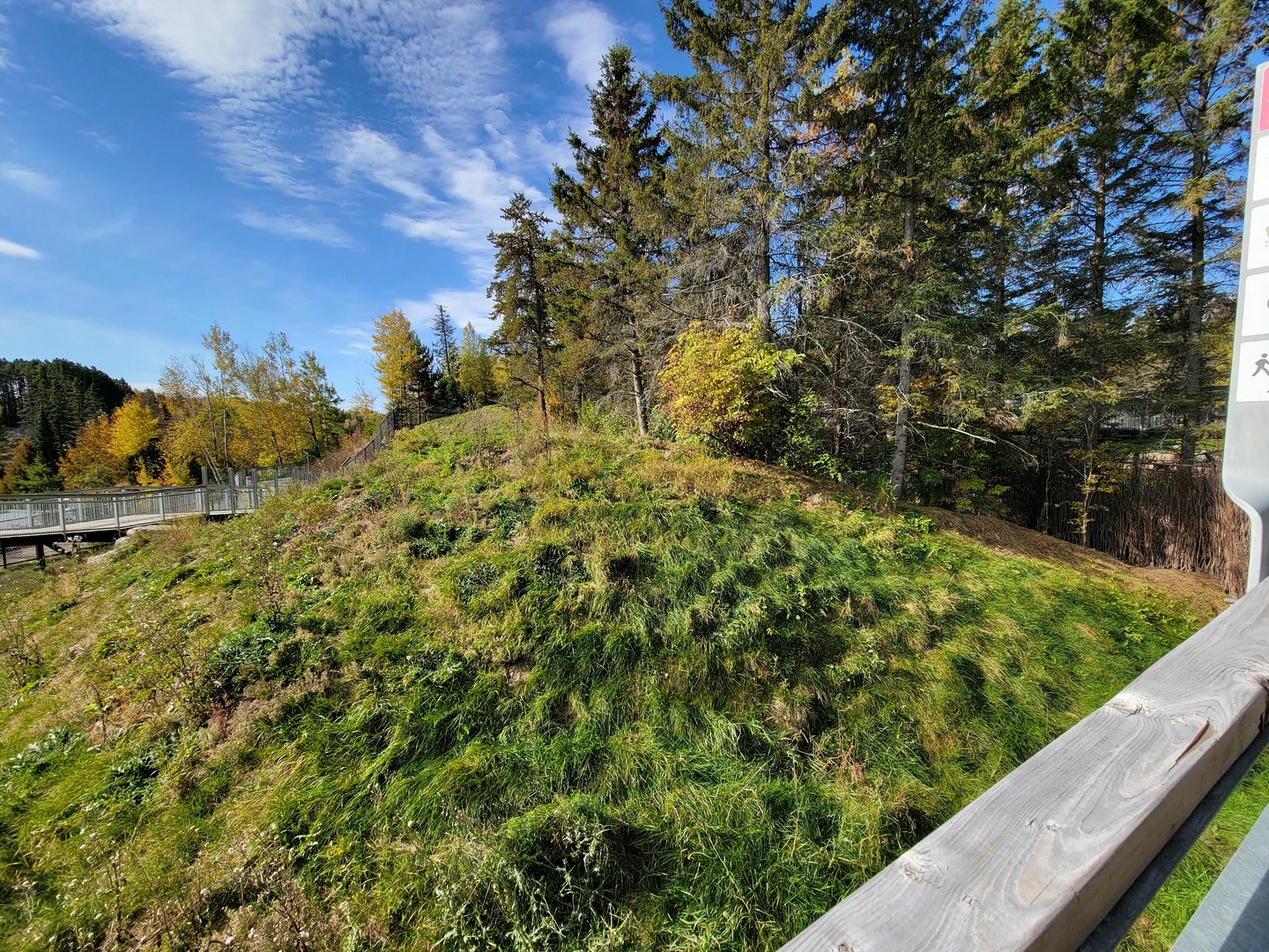 Zoo Sauvage 10/22 - Rocky Mountains, coyote exhibit